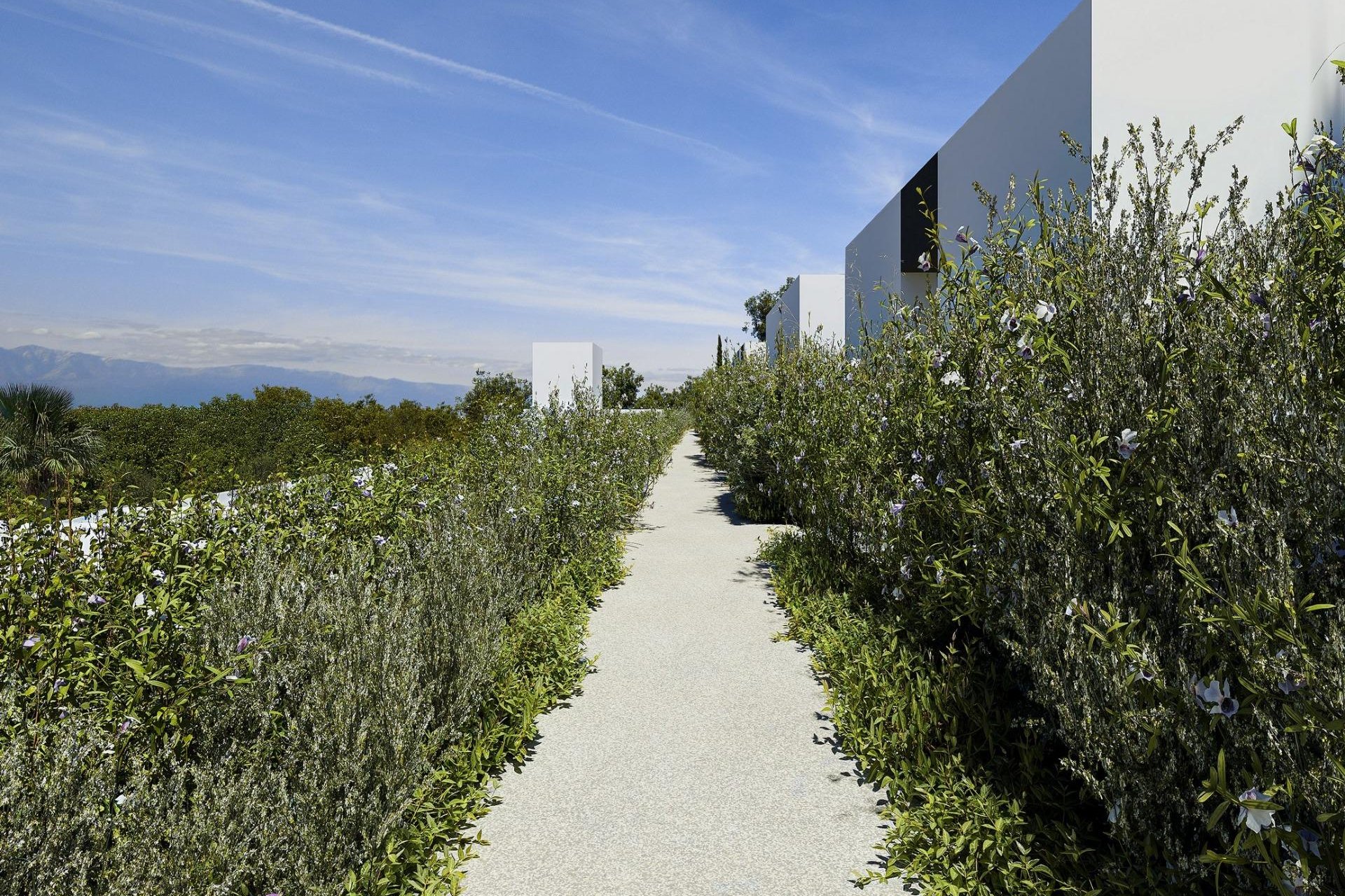 Construcție nouă - Vilă -
Alfas del Pí - Barranc Fondo