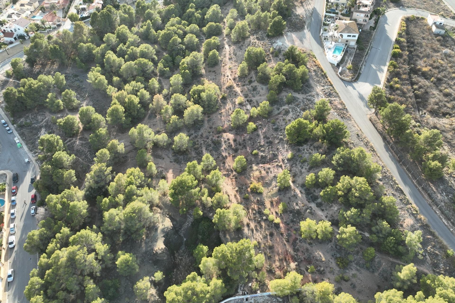 Construcție nouă - Vilă -
Alfas del Pí - Escandinavia
