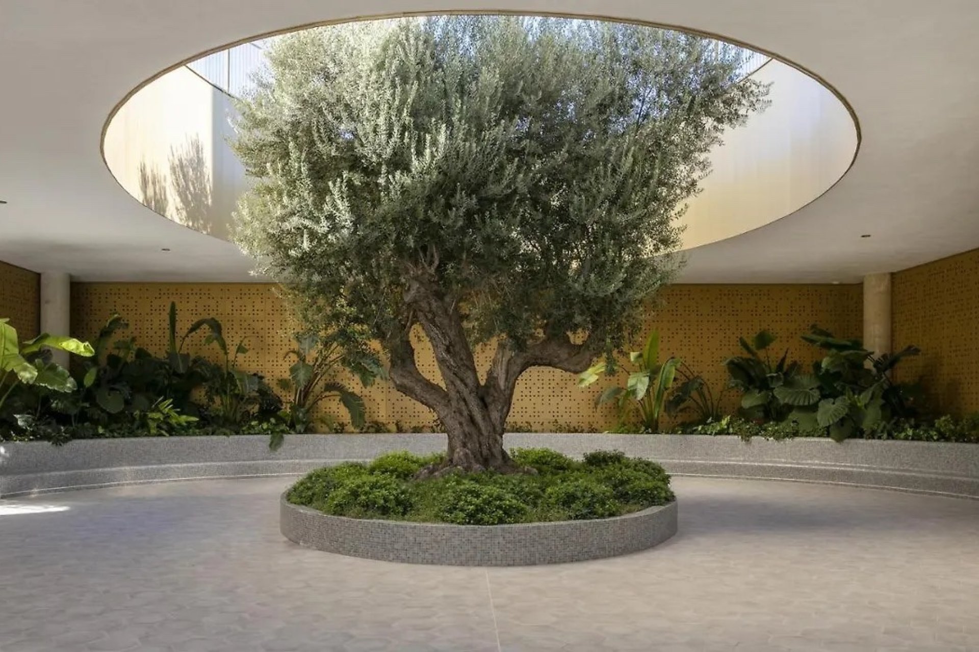 Használt Ingatlanok - Apartman -
Benidorm - Costa Blanca