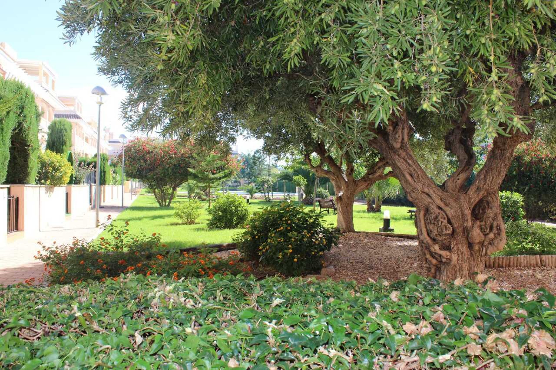 Használt Ingatlanok - Apartman -
Denia - Costa Blanca