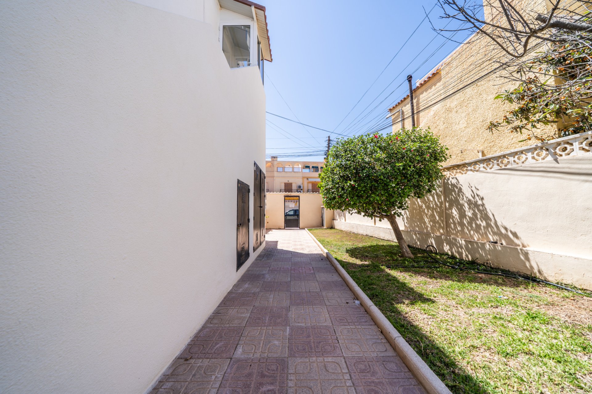 Használt Ingatlanok - Apartman -
El Chaparral - Costa Blanca