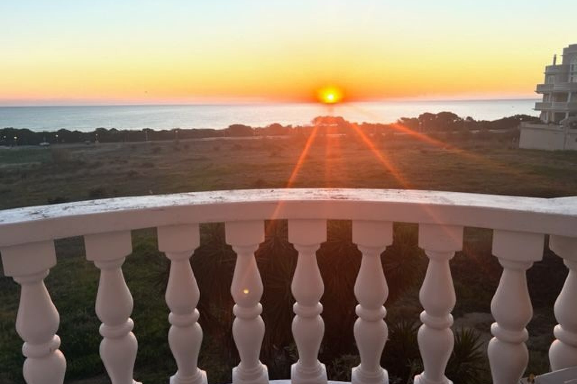 Használt Ingatlanok - Apartman -
Guardamar del Segura - Costa Blanca