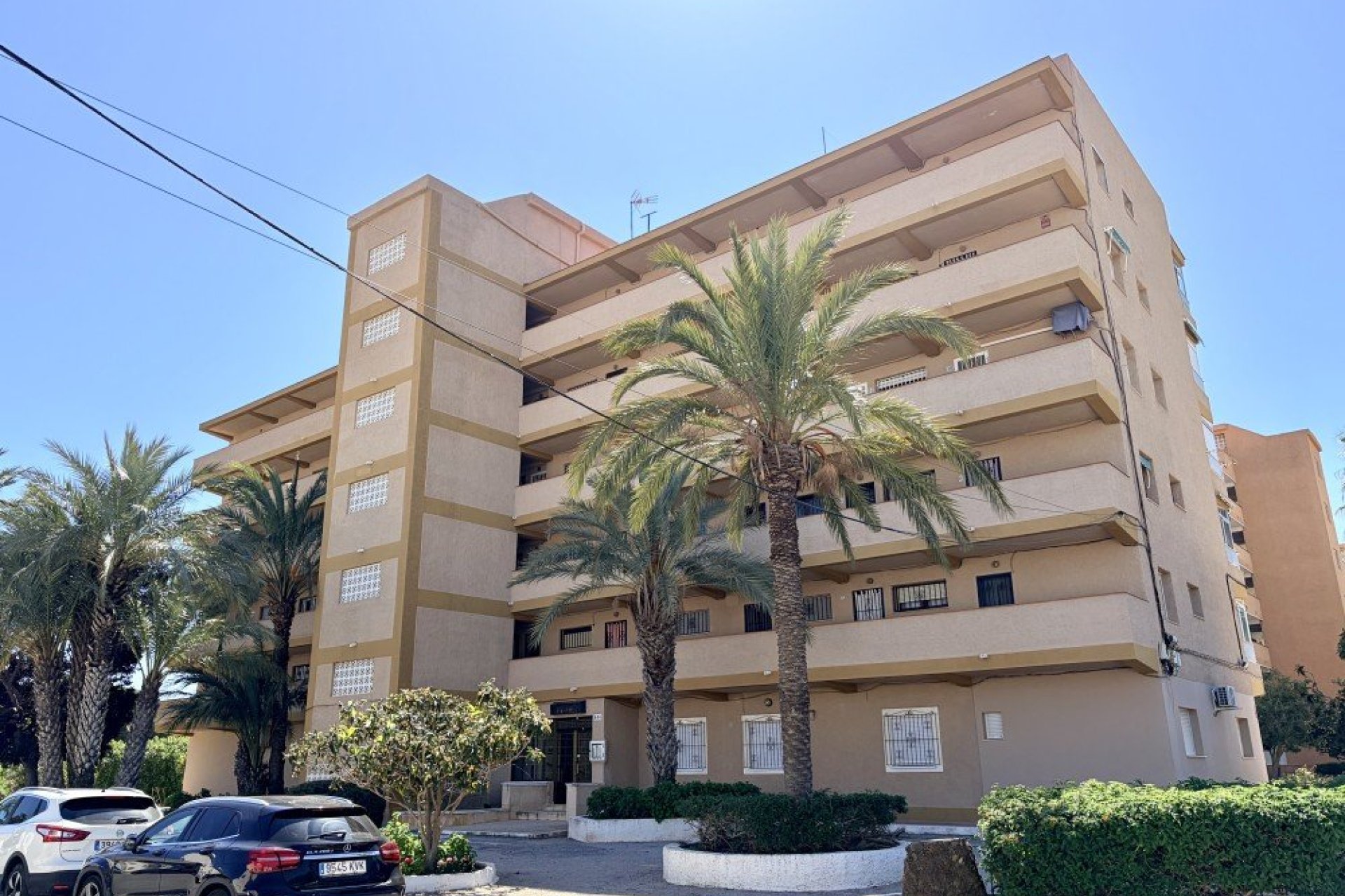Használt Ingatlanok - Apartman -
Guardamar del Segura - Costa Blanca