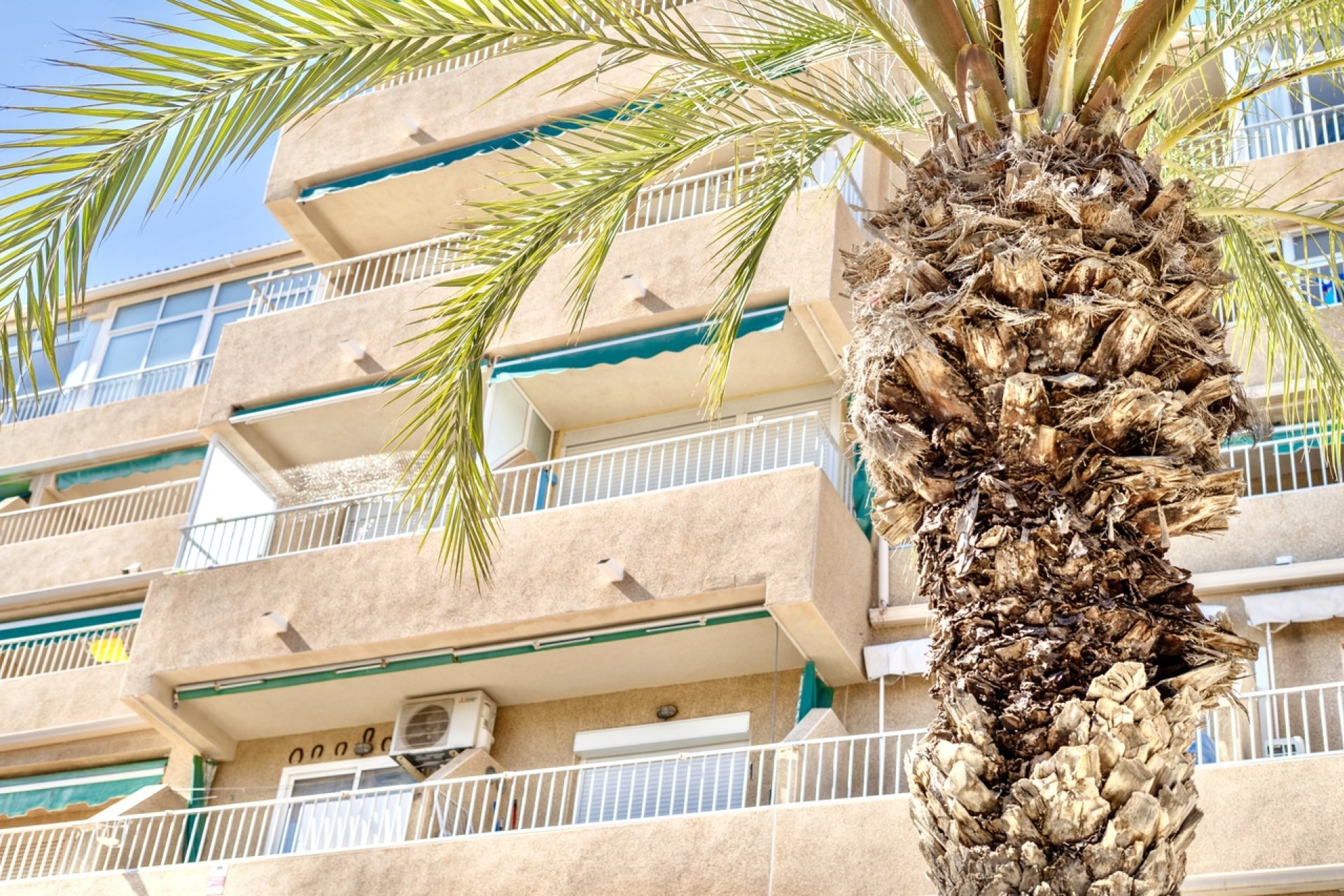 Használt Ingatlanok - Apartman -
Guardamar del Segura - Costa Blanca