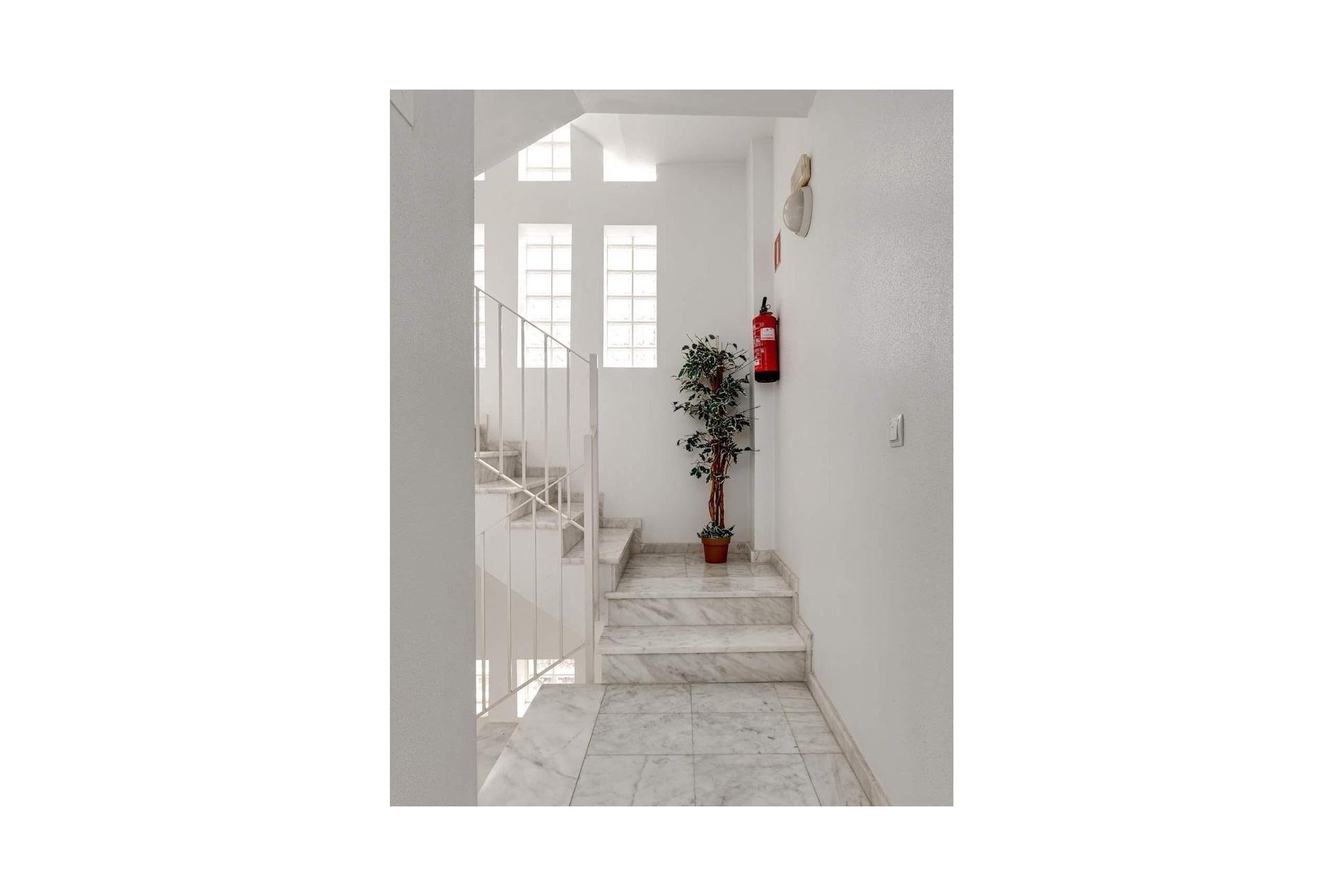 Használt Ingatlanok - Apartman -
Guardamar del Segura - Los Secanos