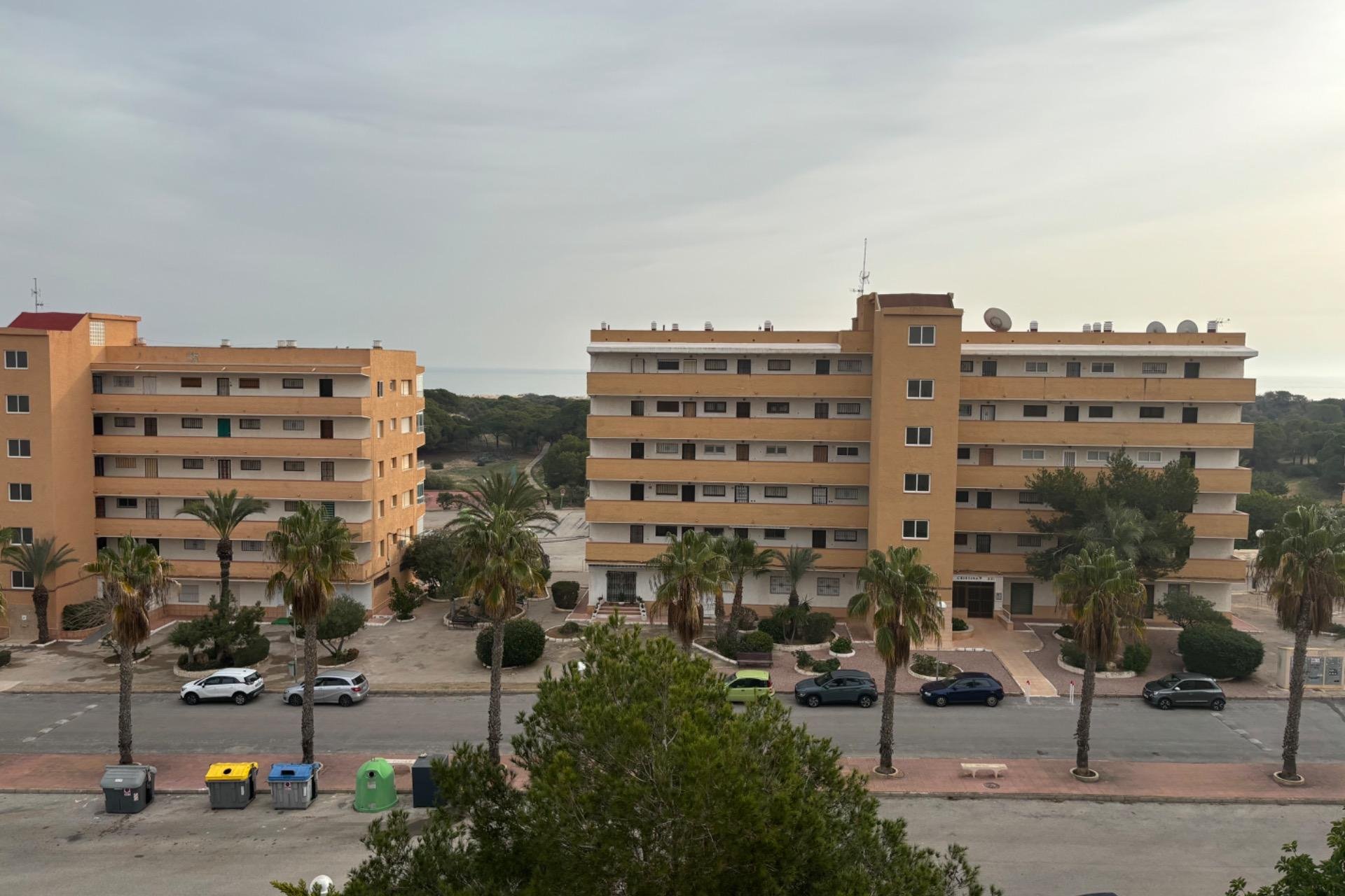 Használt Ingatlanok - Apartman -
Guardamar del Segura - Pinomar