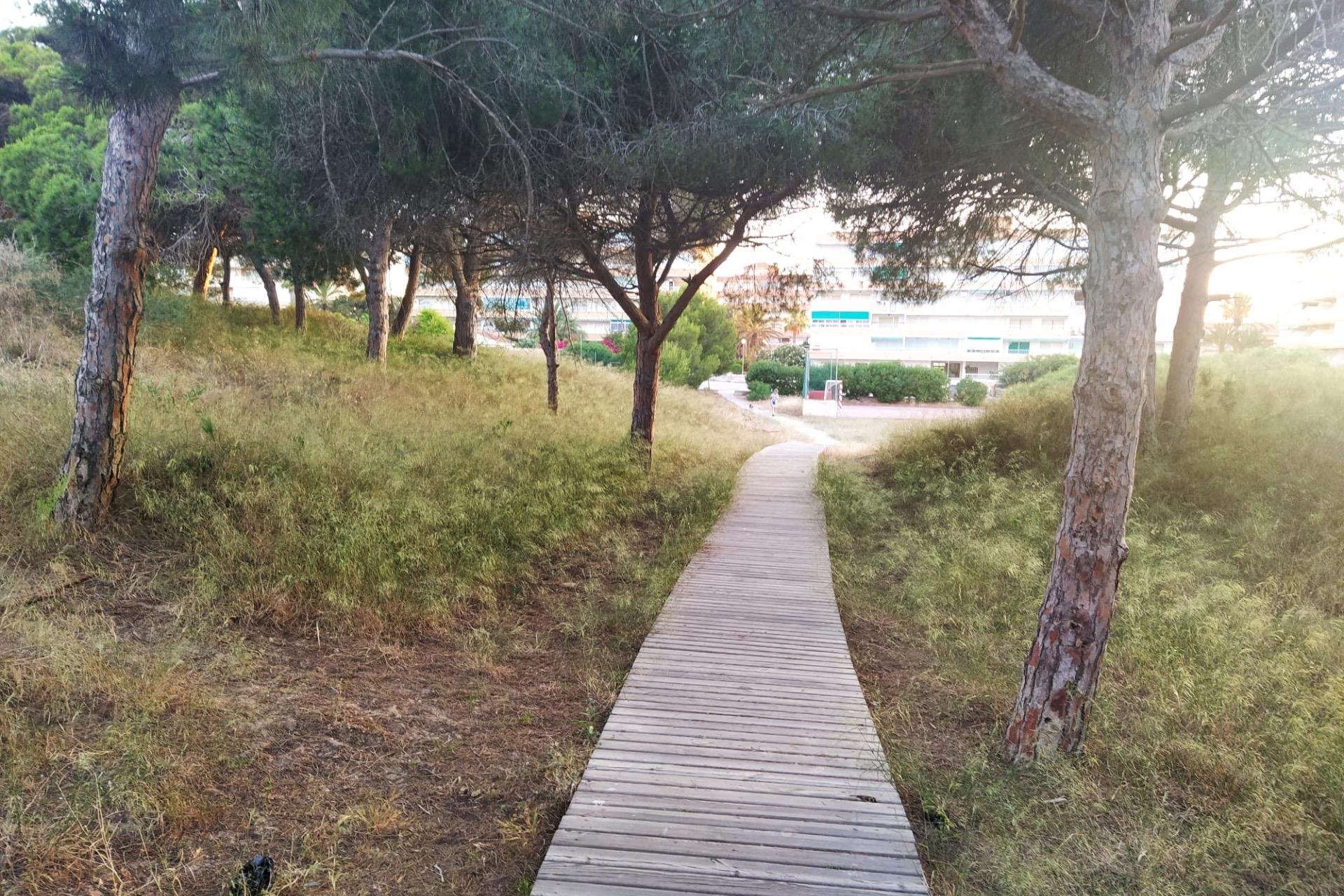 Használt Ingatlanok - Apartman -
Guardamar del Segura - Pinomar