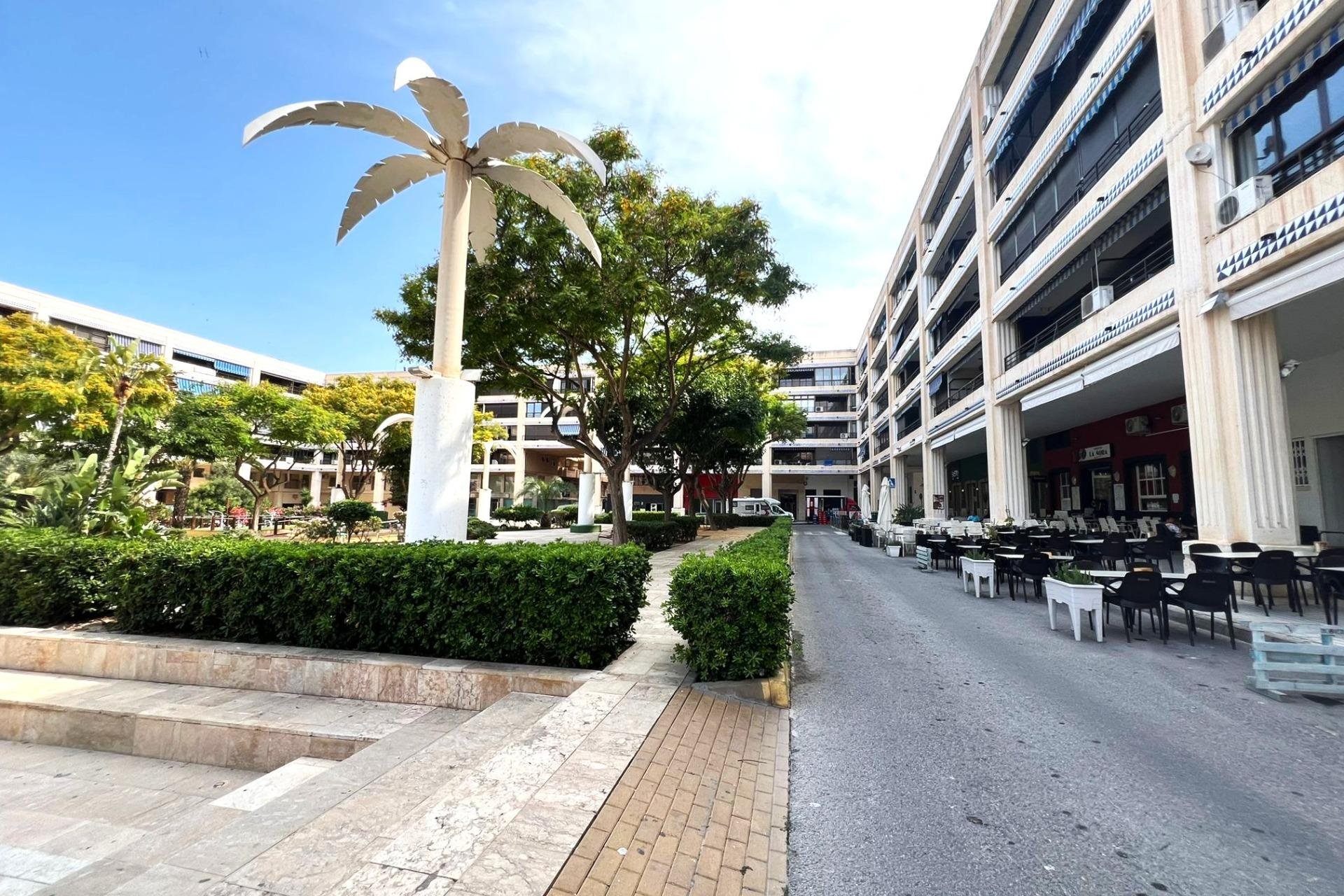 Használt Ingatlanok - Apartman -
Guardamar del Segura - Pueblo