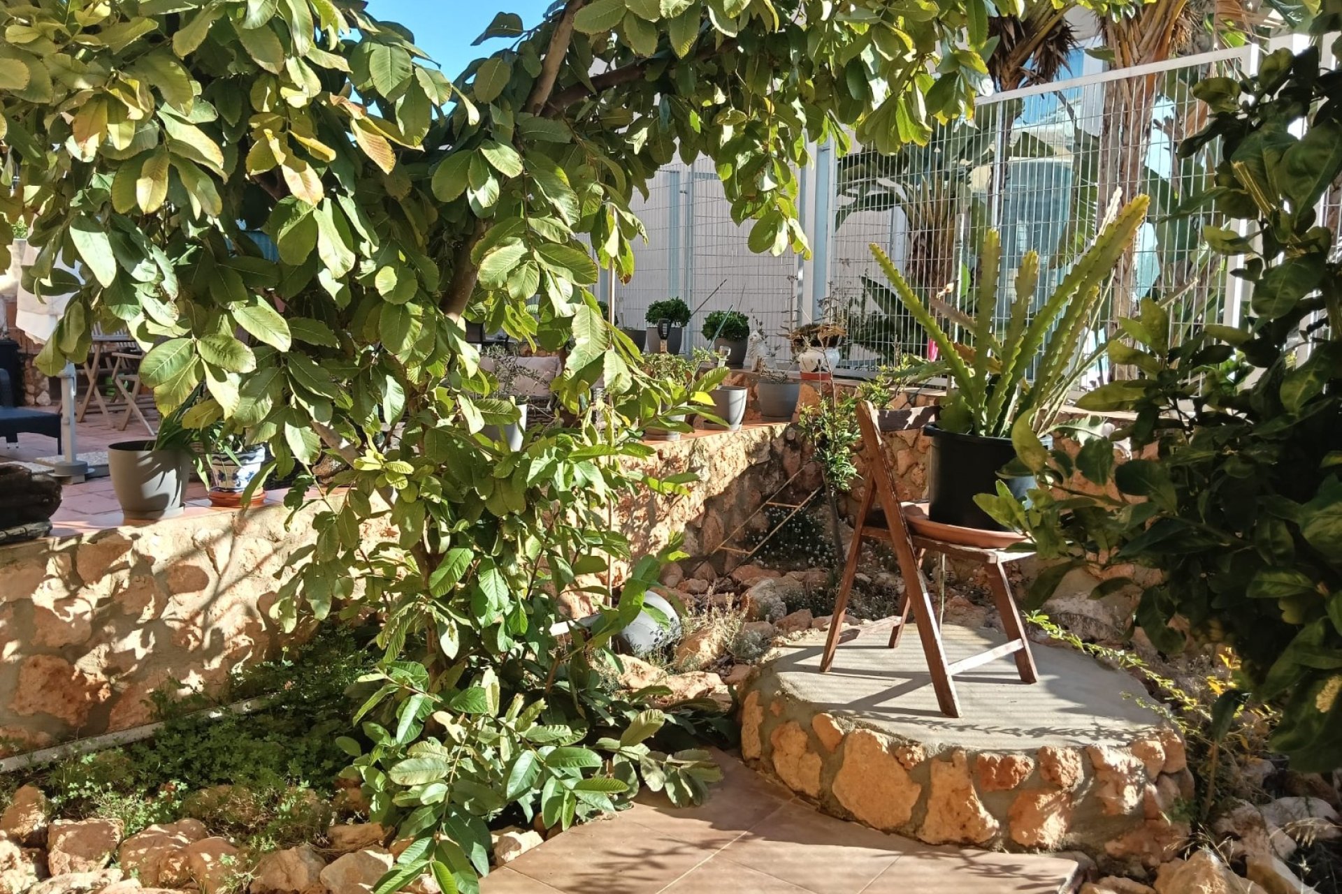 Használt Ingatlanok - Apartman -
Los Montesinos - Costa Blanca