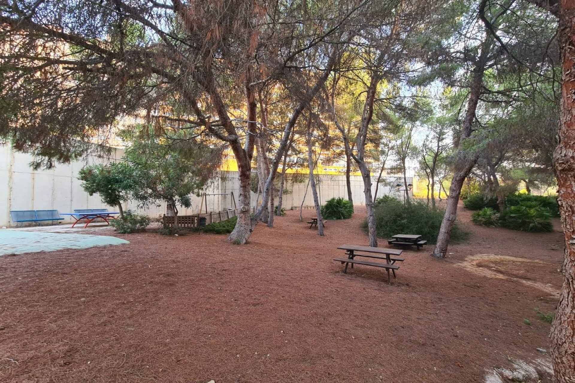Használt Ingatlanok - Apartman -
Orihuela Costa - Campoamor