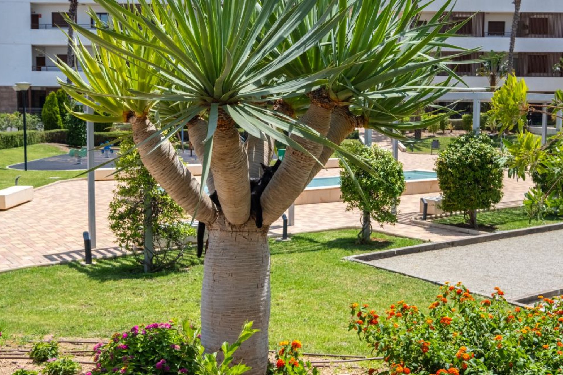 Használt Ingatlanok - Apartman -
Orihuela Costa - Costa Blanca