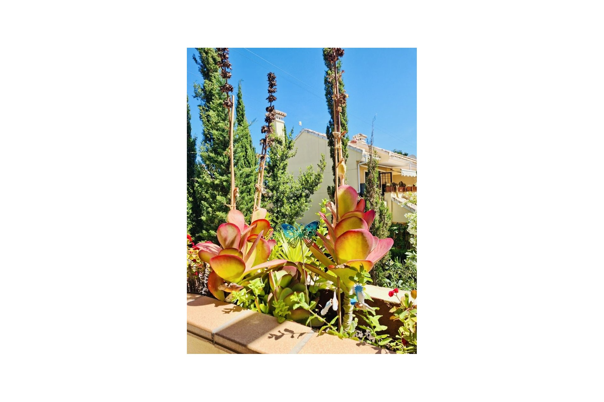 Használt Ingatlanok - Apartman -
Orihuela Costa - Costa Blanca