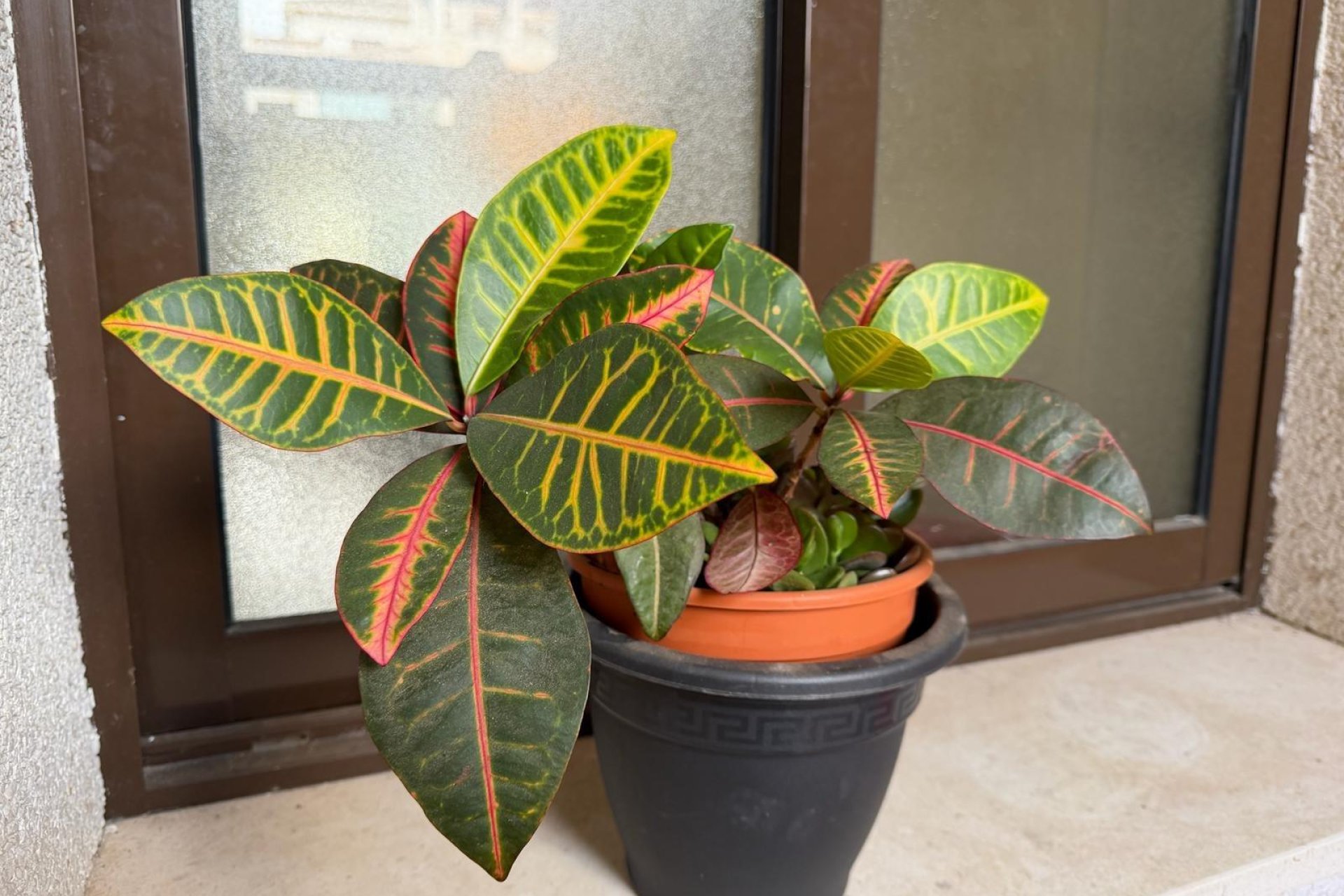 Használt Ingatlanok - Apartman -
Orihuela Costa - Las Ramblas