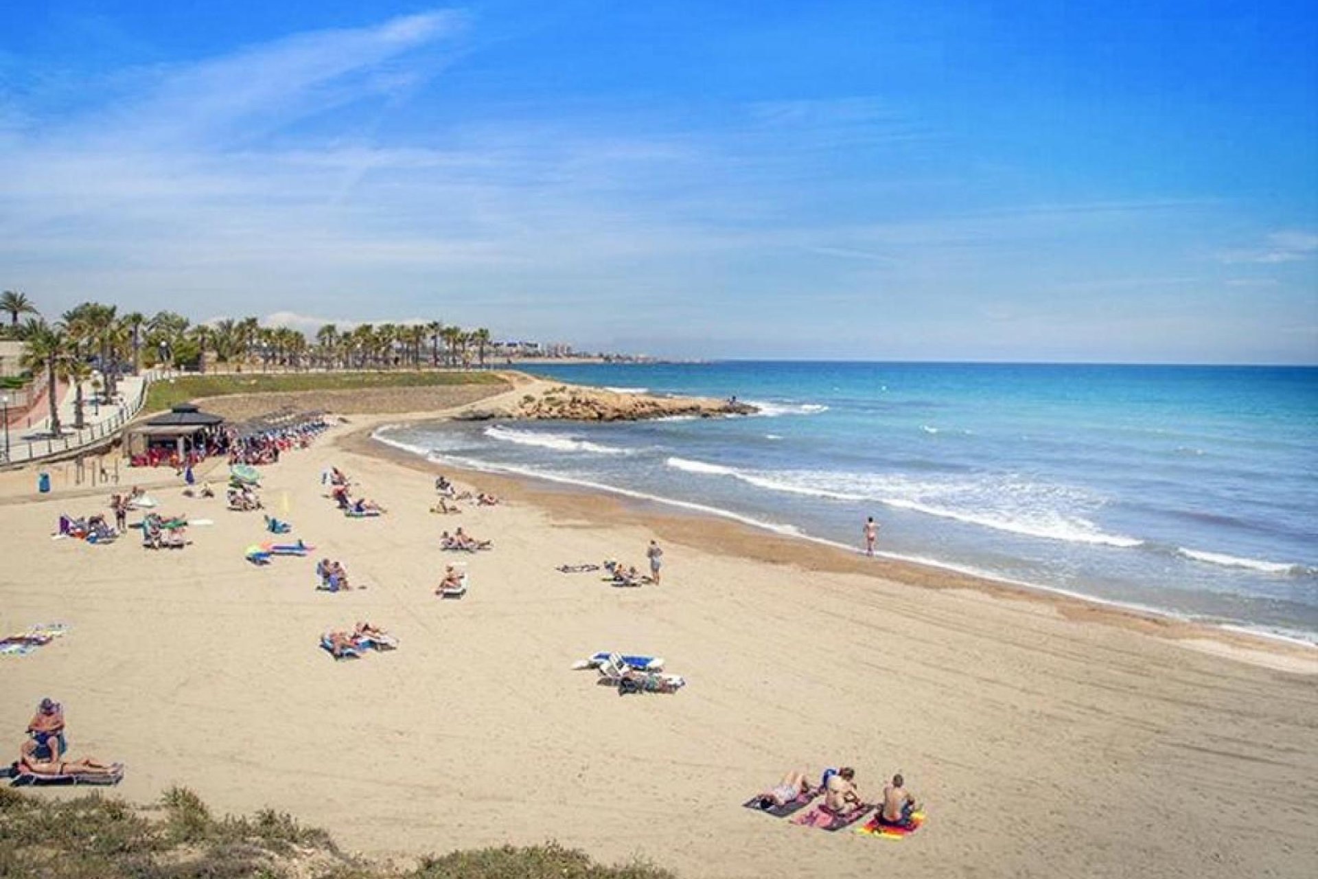 Használt Ingatlanok - Apartman -
Orihuela - Inland