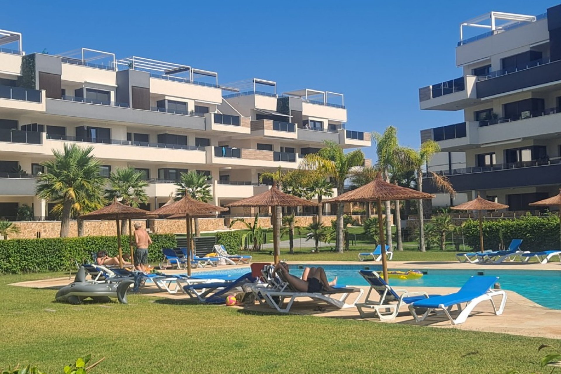Használt Ingatlanok - Apartman -
Playa Flamenca - Costa Blanca