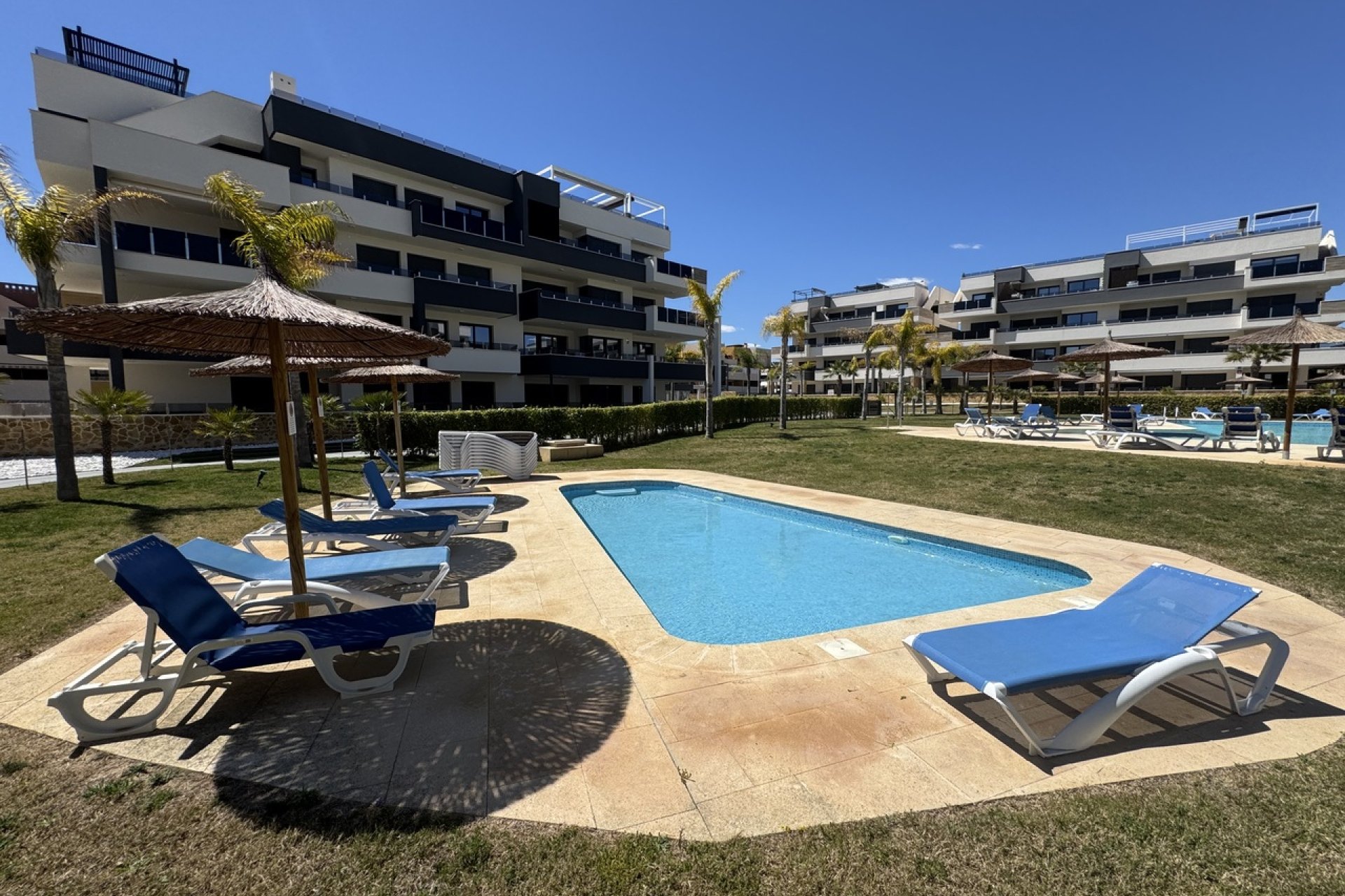 Használt Ingatlanok - Apartman -
Playa Flamenca - Costa Blanca