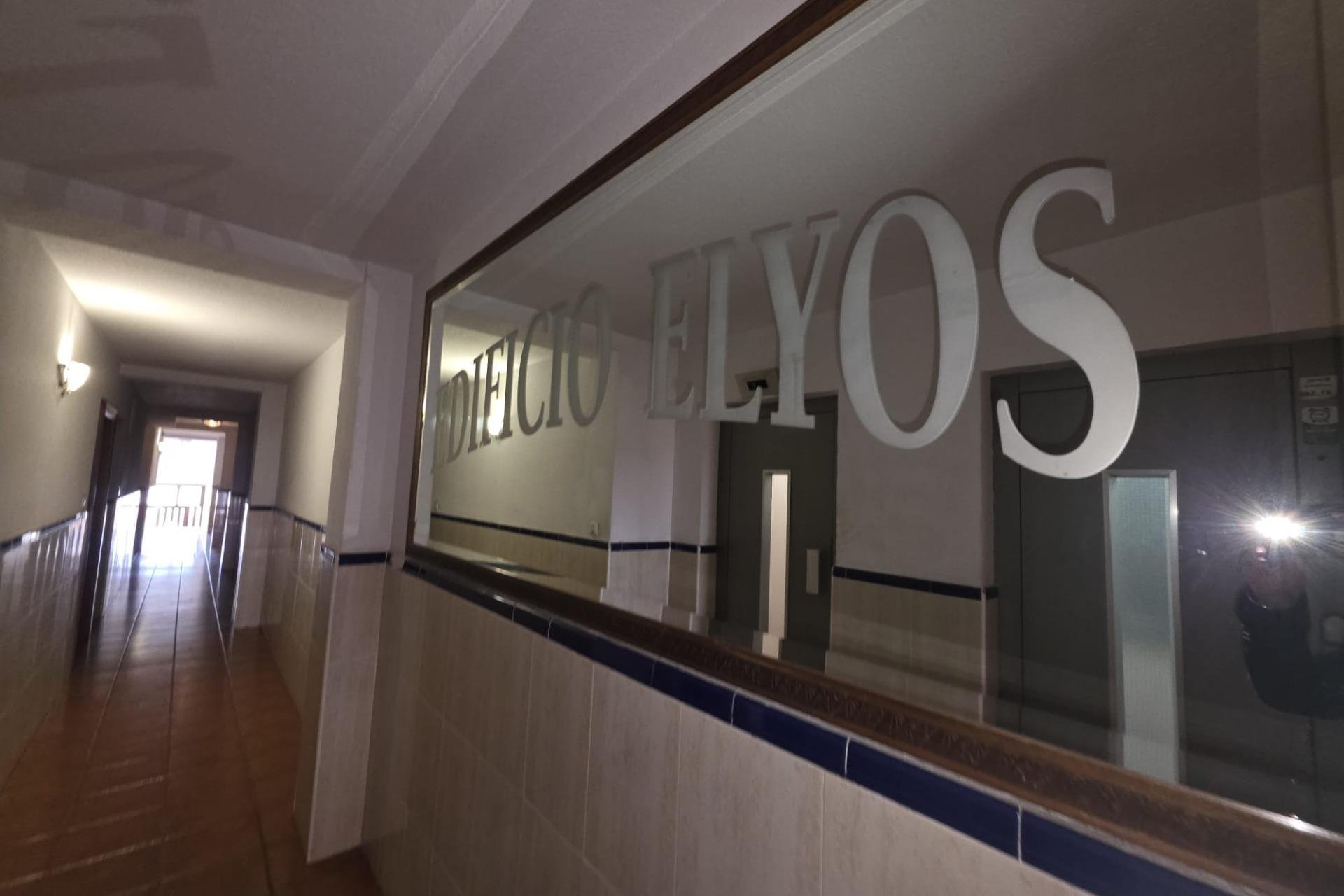 Használt Ingatlanok - Apartman -
Torrevieja - Acequion