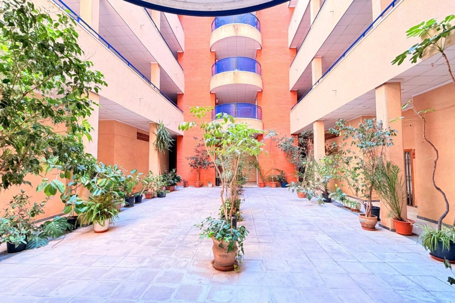 Használt Ingatlanok - Apartman -
Torrevieja - Acequion