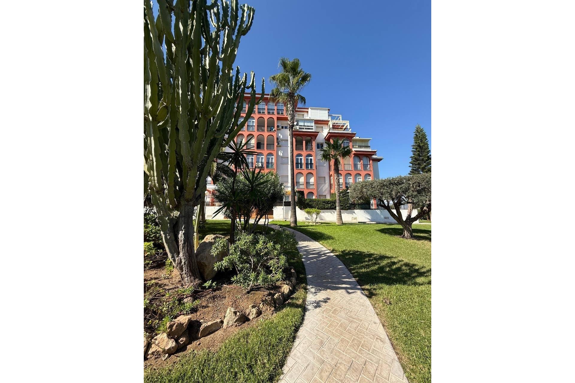 Használt Ingatlanok - Apartman -
Torrevieja - Aguas Nuevas 2