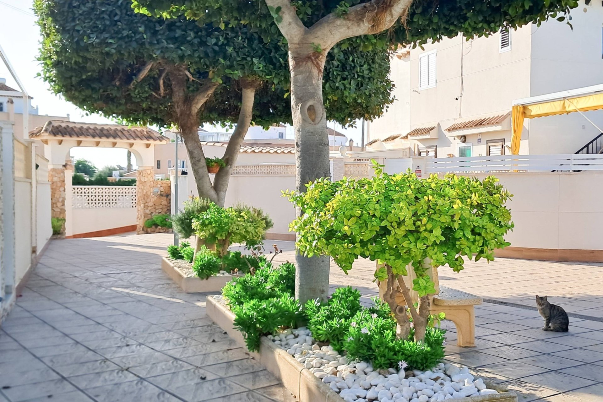 Használt Ingatlanok - Apartman -
Torrevieja - Aguas Nuevas 2