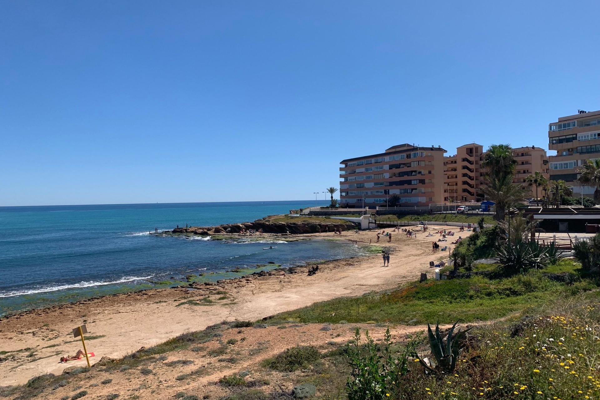 Használt Ingatlanok - Apartman -
Torrevieja - Cabo Cervera