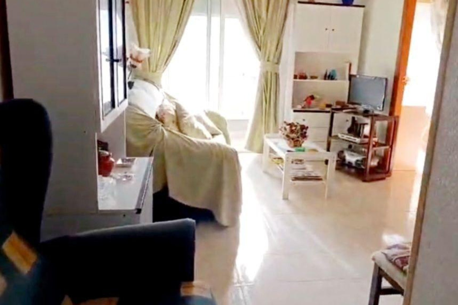 Használt Ingatlanok - Apartman -
Torrevieja - Centro
