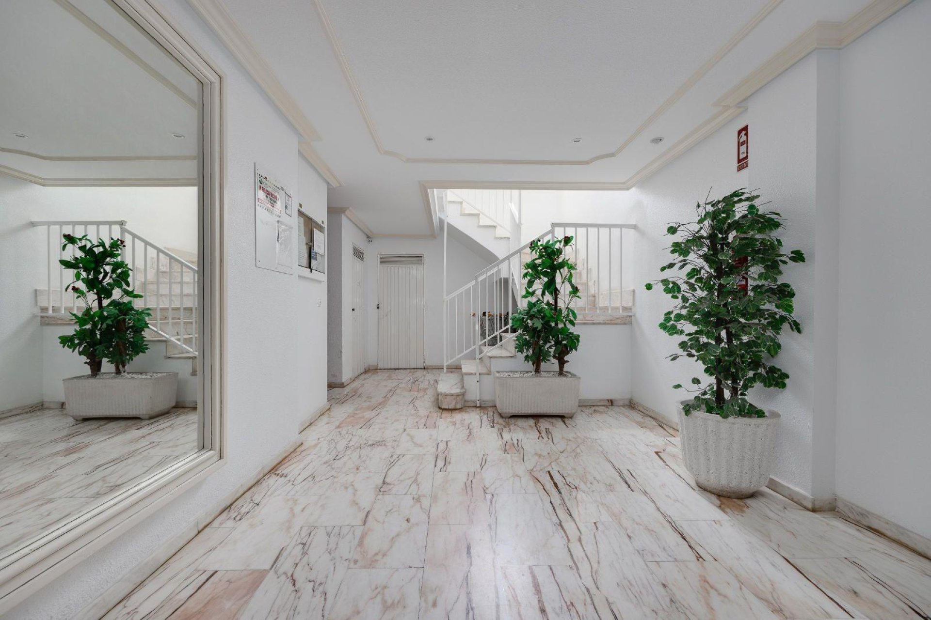 Használt Ingatlanok - Apartman -
Torrevieja - Centrum