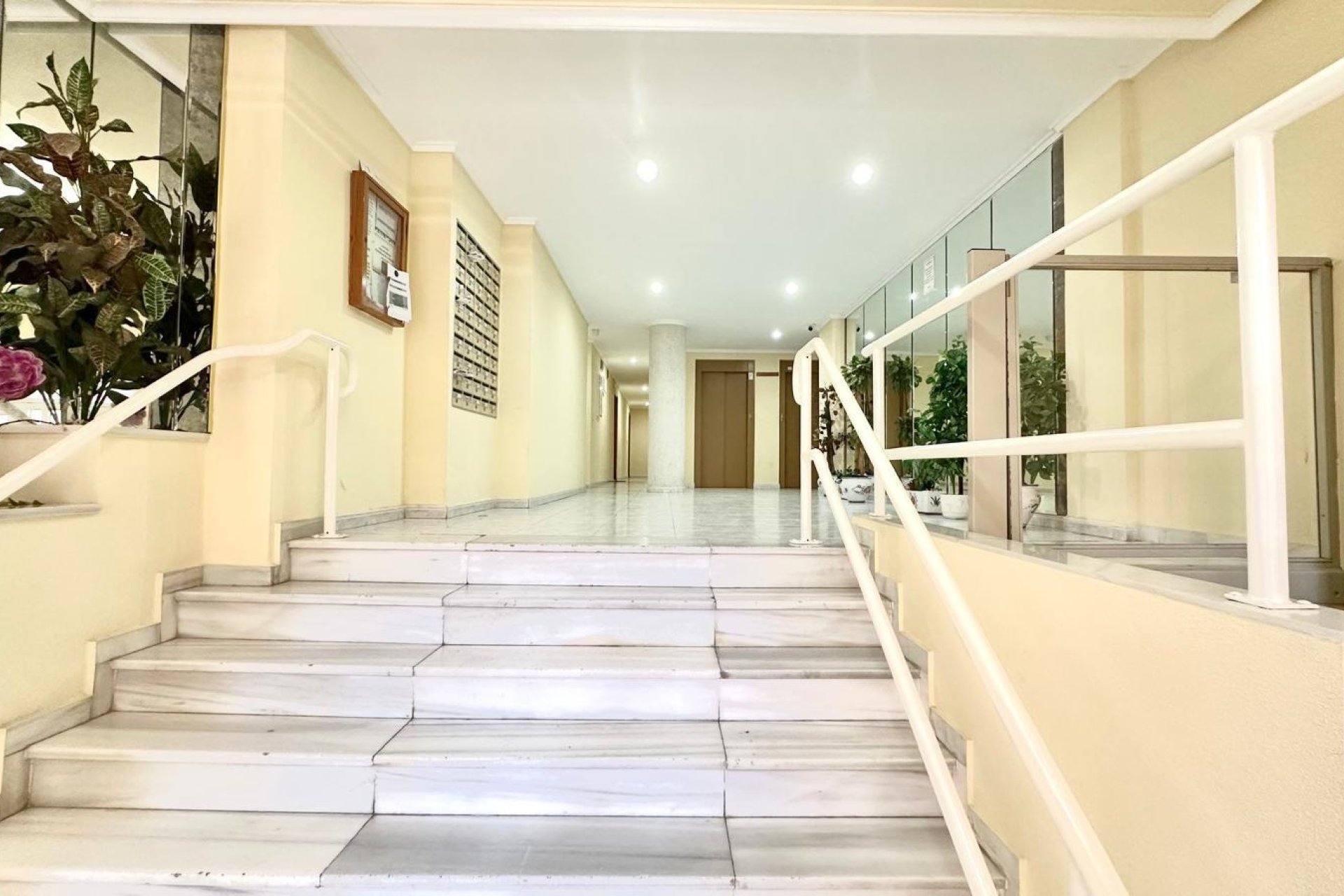 Használt Ingatlanok - Apartman -
Torrevieja - Centrum