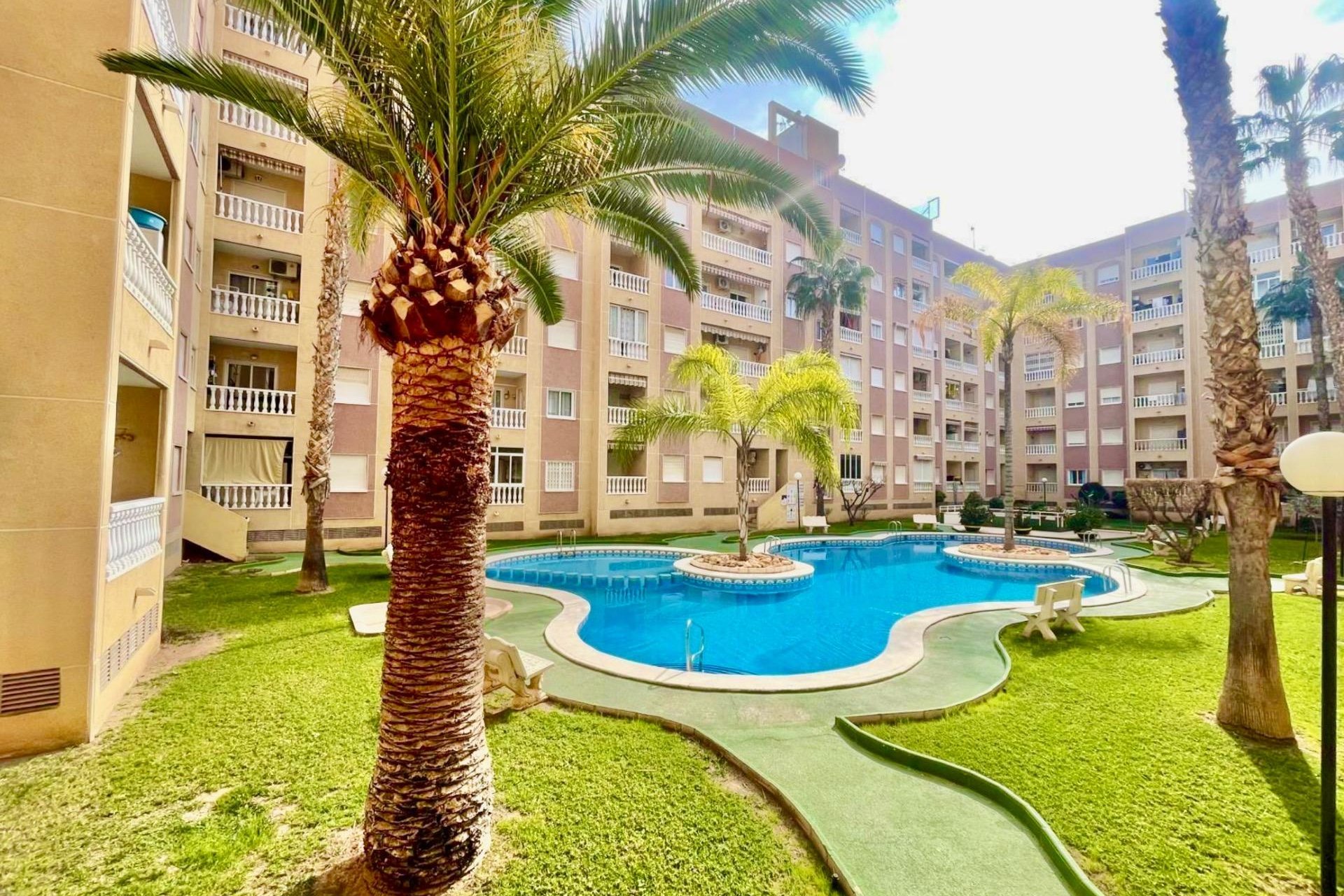 Használt Ingatlanok - Apartman -
Torrevieja - Centrum