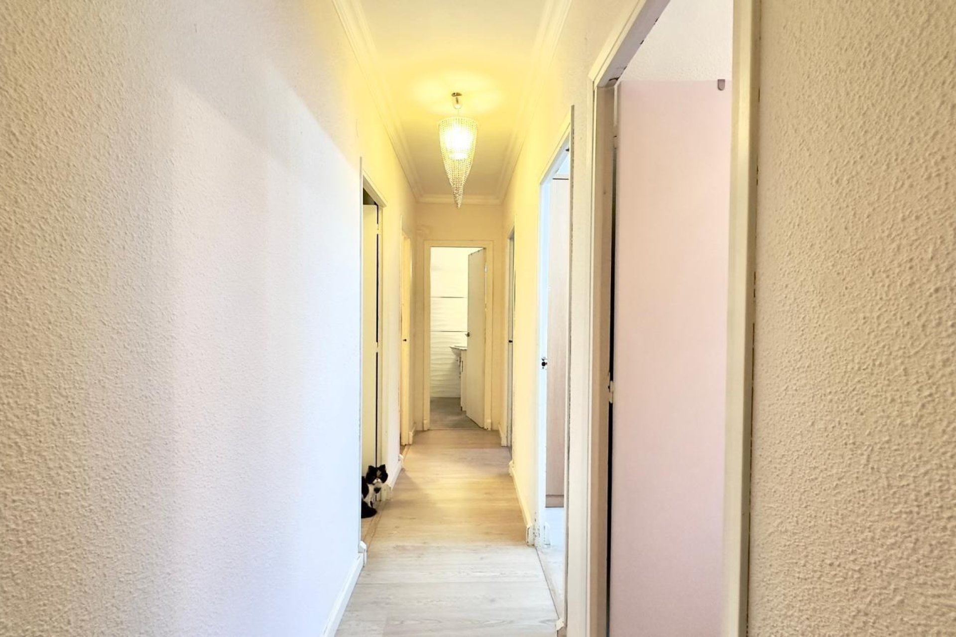 Használt Ingatlanok - Apartman -
Torrevieja - Centrum