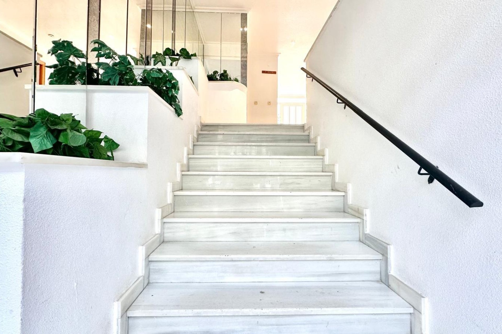 Használt Ingatlanok - Apartman -
Torrevieja - Centrum