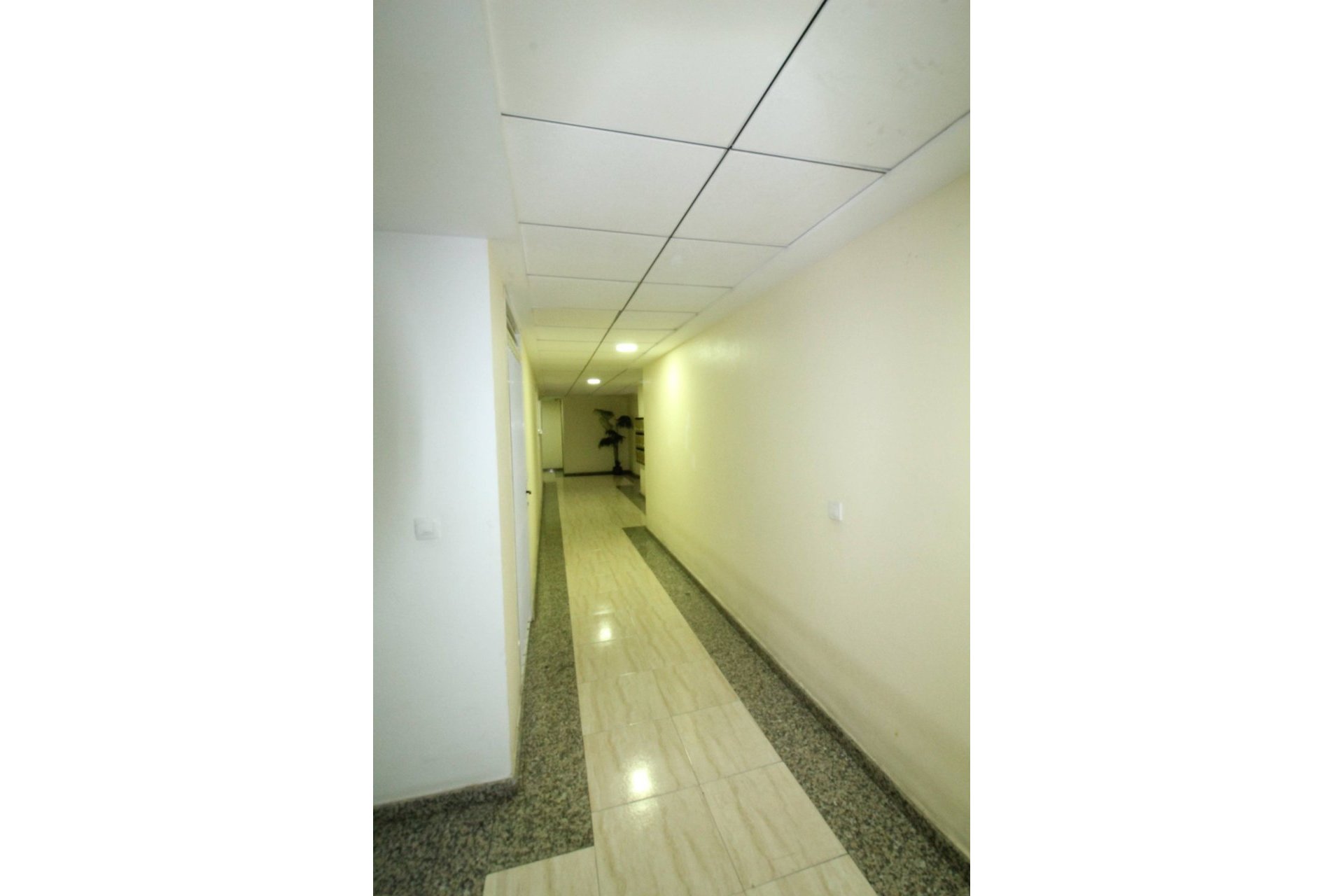 Használt Ingatlanok - Apartman -
Torrevieja - Centrum