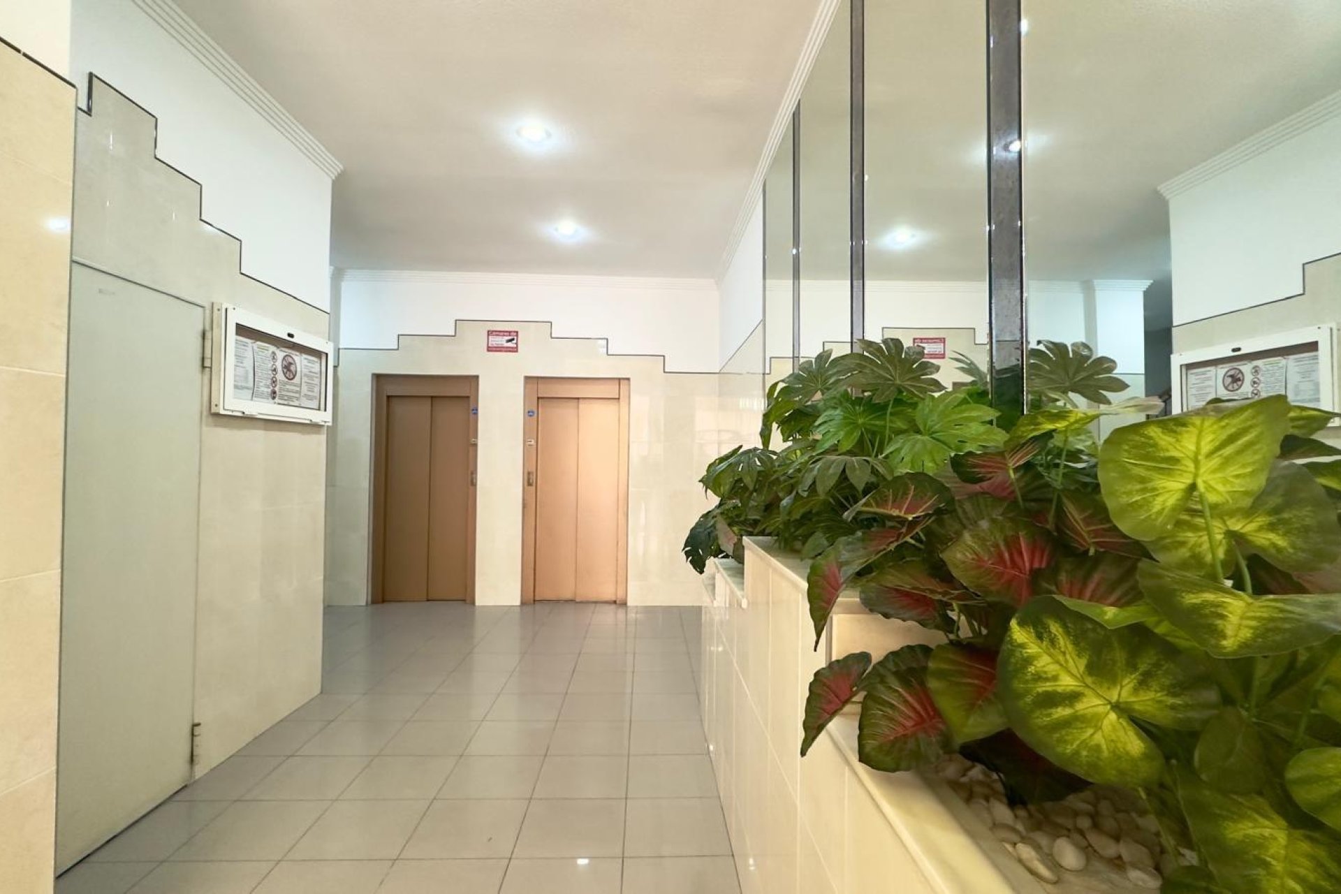 Használt Ingatlanok - Apartman -
Torrevieja - Centrum