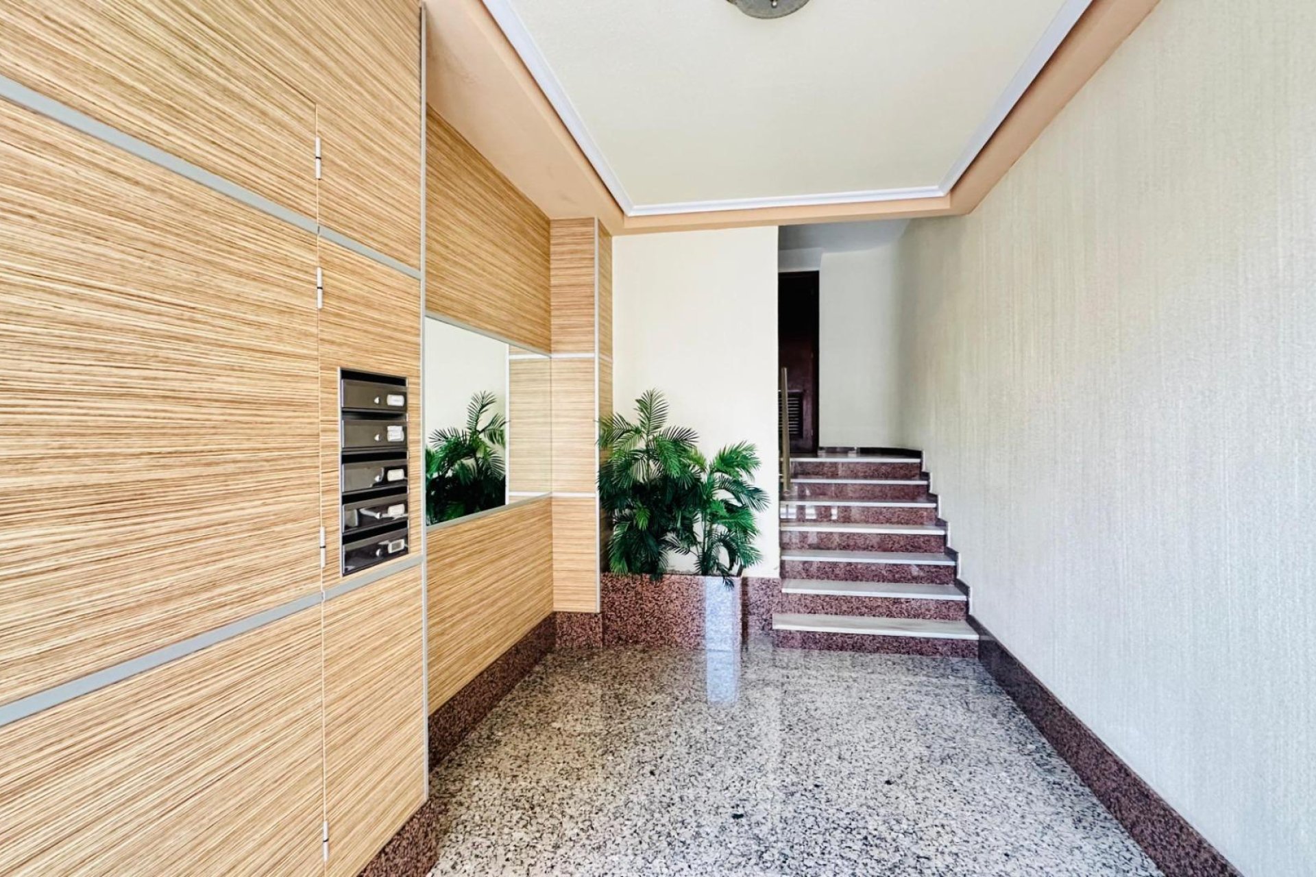Használt Ingatlanok - Apartman -
Torrevieja - Centrum