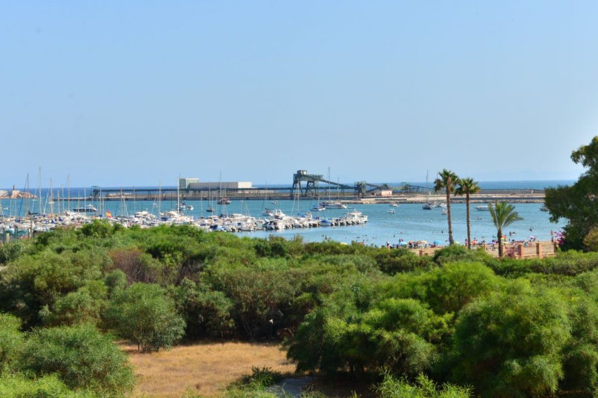 Használt Ingatlanok - Apartman -
Torrevieja - Costa Blanca