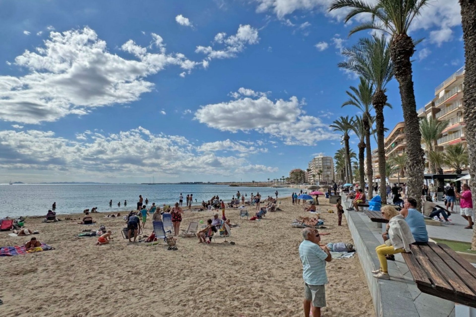 Használt Ingatlanok - Apartman -
Torrevieja - Costa Blanca