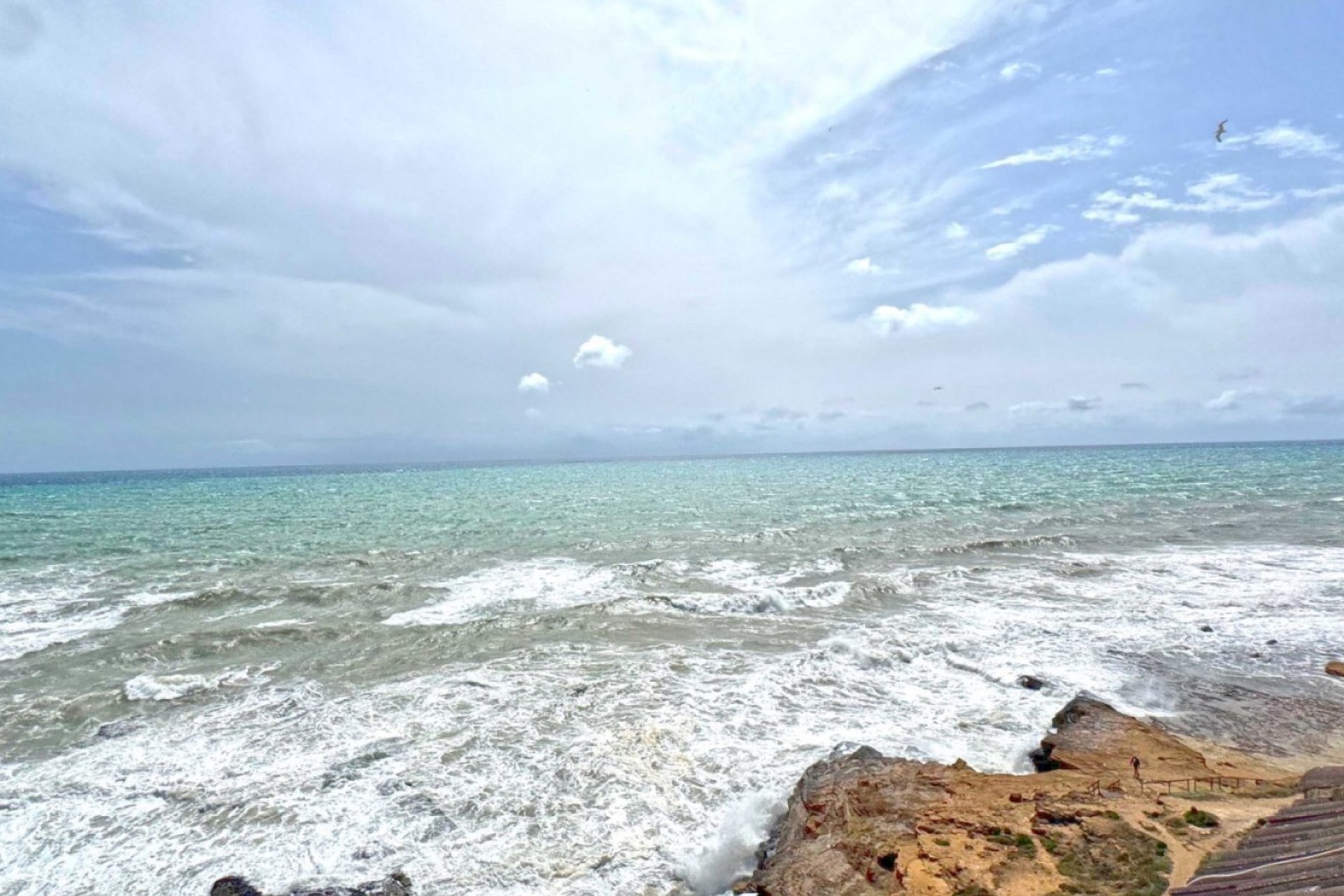 Használt Ingatlanok - Apartman -
Torrevieja - Costa Blanca