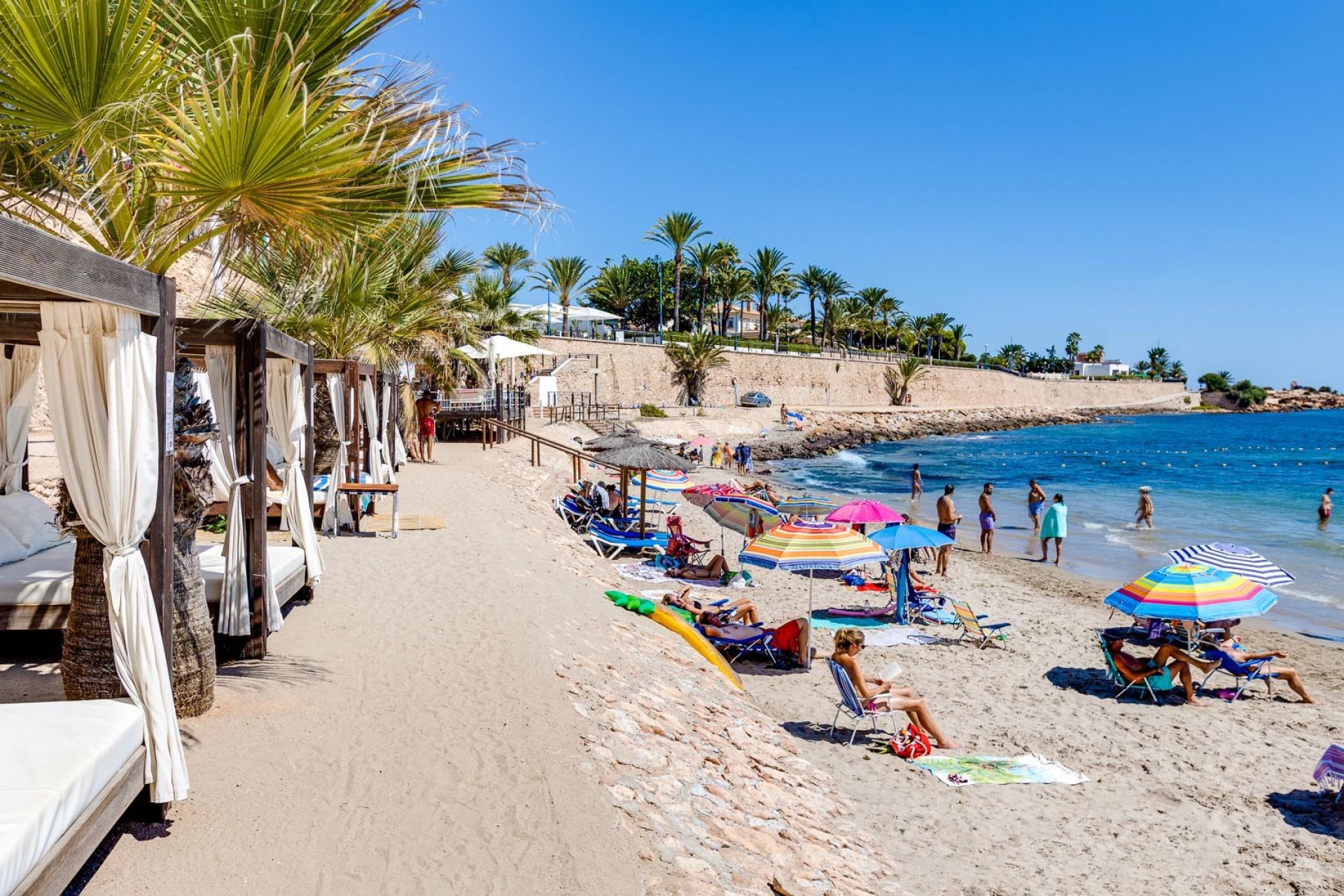 Használt Ingatlanok - Apartman -
Torrevieja - Costa Blanca