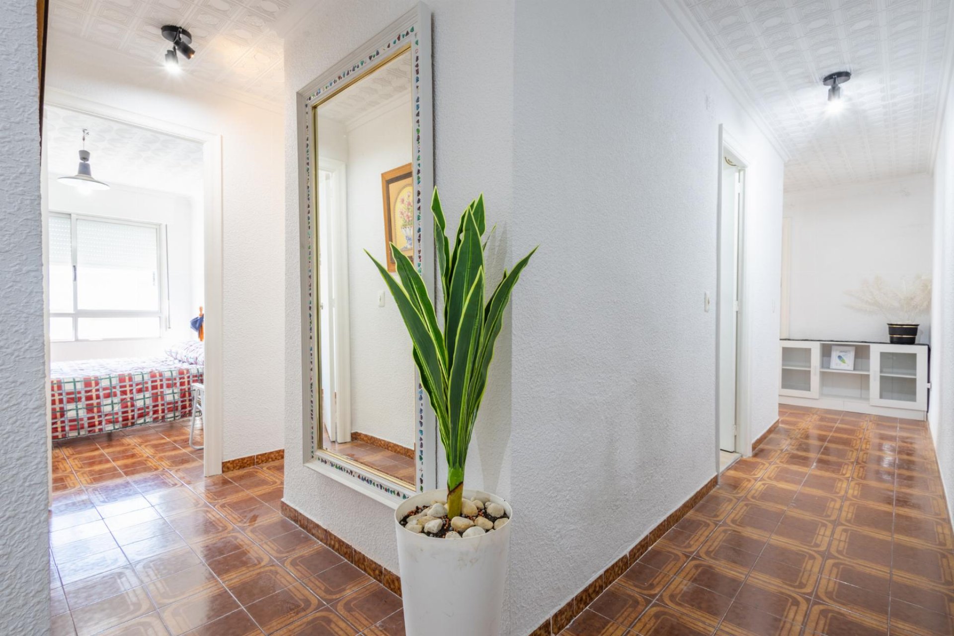 Használt Ingatlanok - Apartman -
Torrevieja - Costa Blanca
