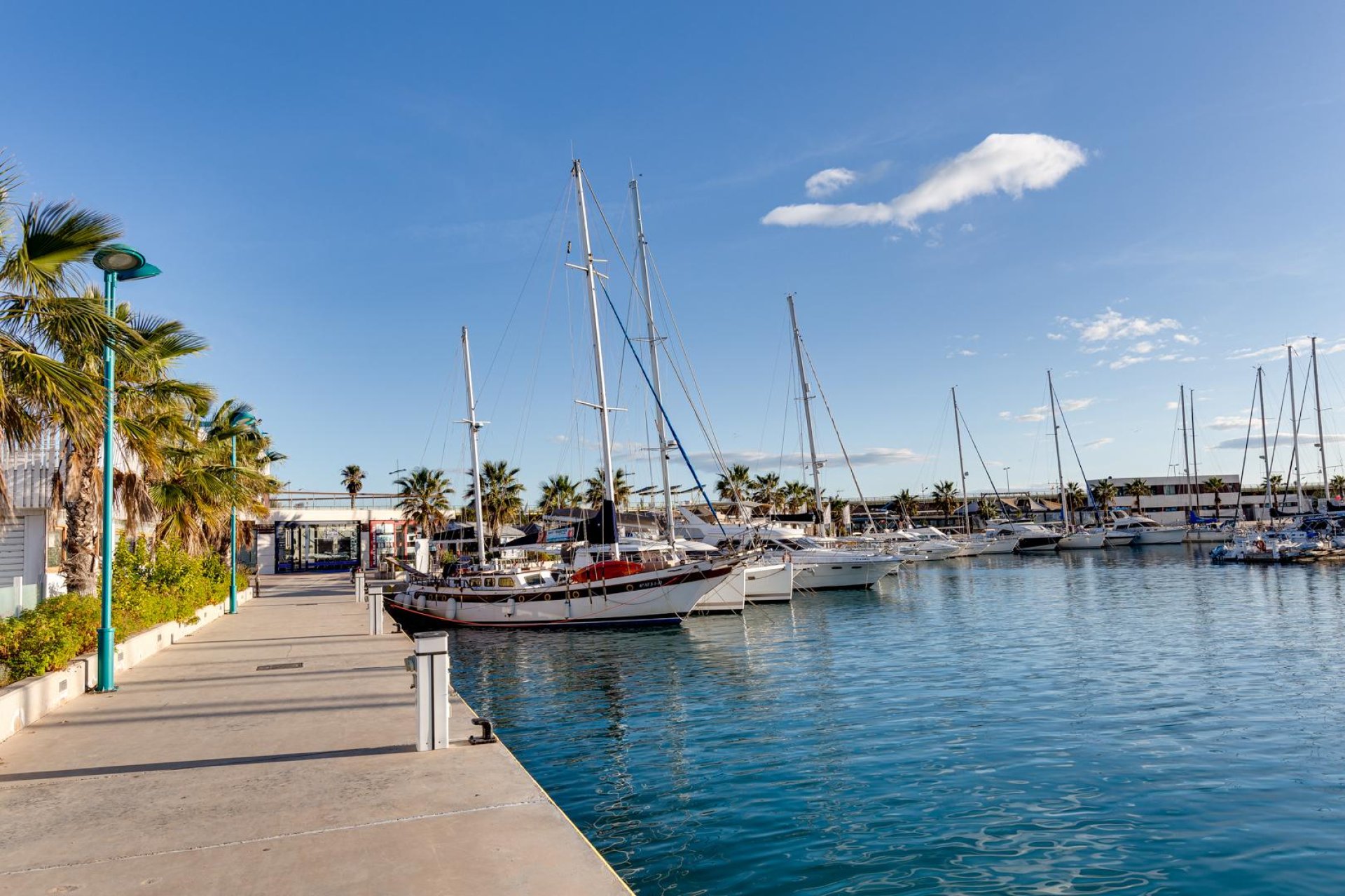 Használt Ingatlanok - Apartman -
Torrevieja - Costa Blanca