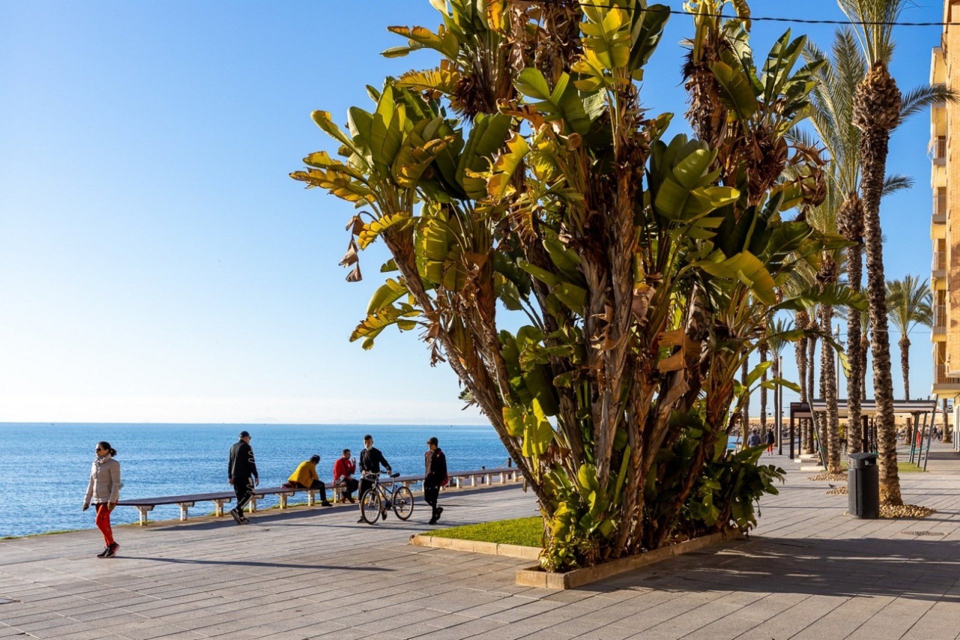 Használt Ingatlanok - Apartman -
Torrevieja - Costa Blanca