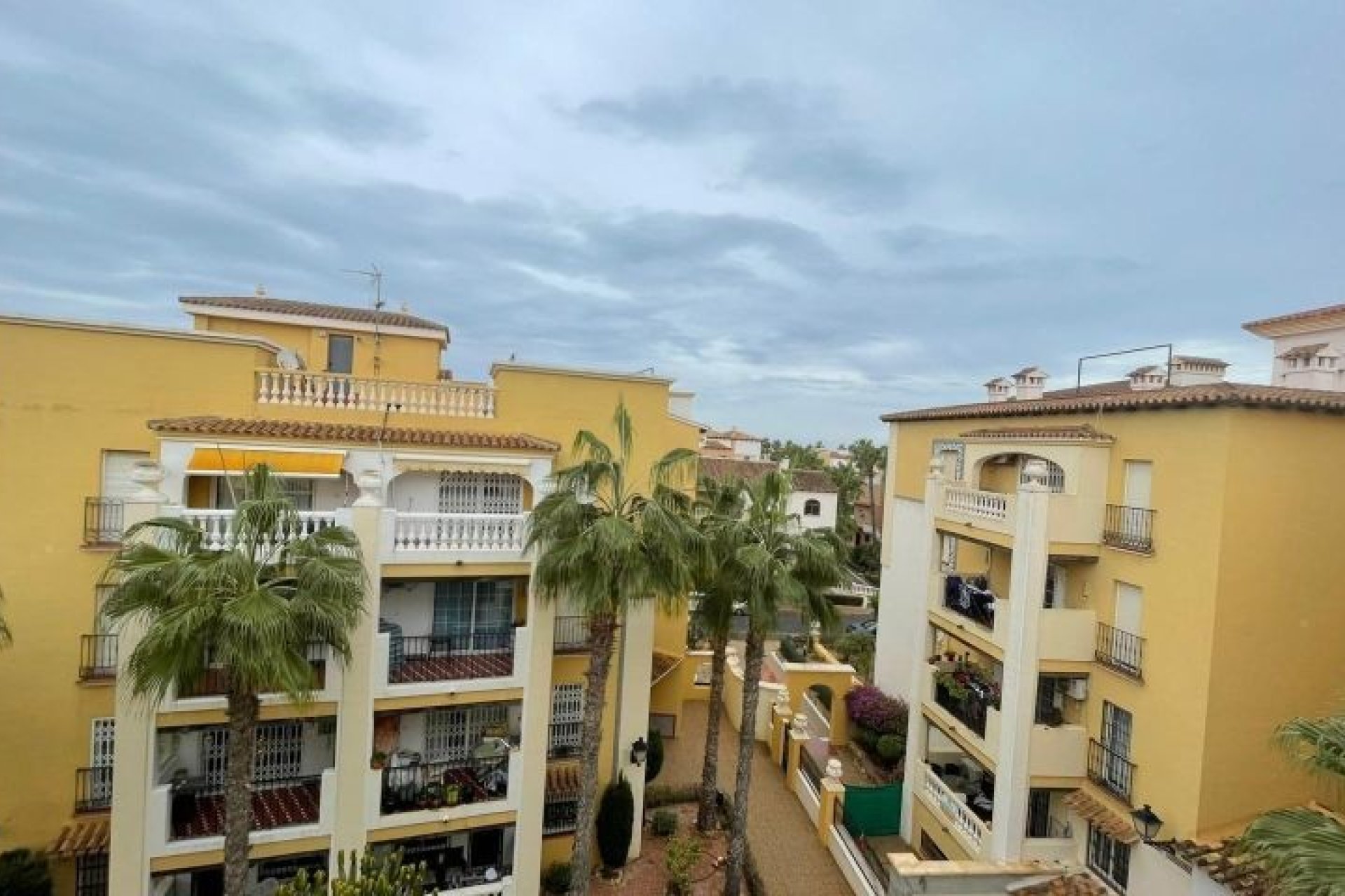 Használt Ingatlanok - Apartman -
Torrevieja - Costa Blanca