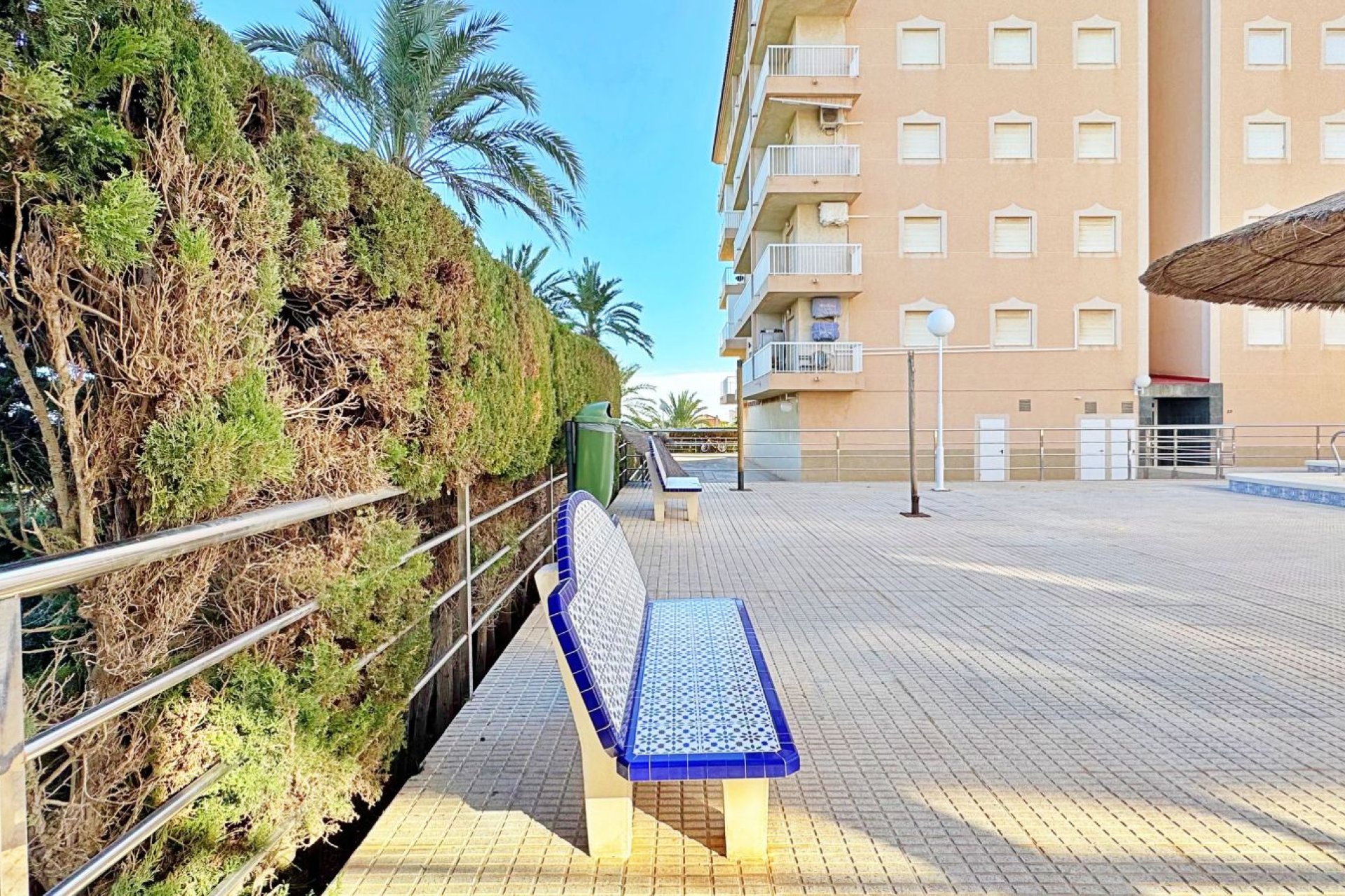 Használt Ingatlanok - Apartman -
Torrevieja - Costa Blanca