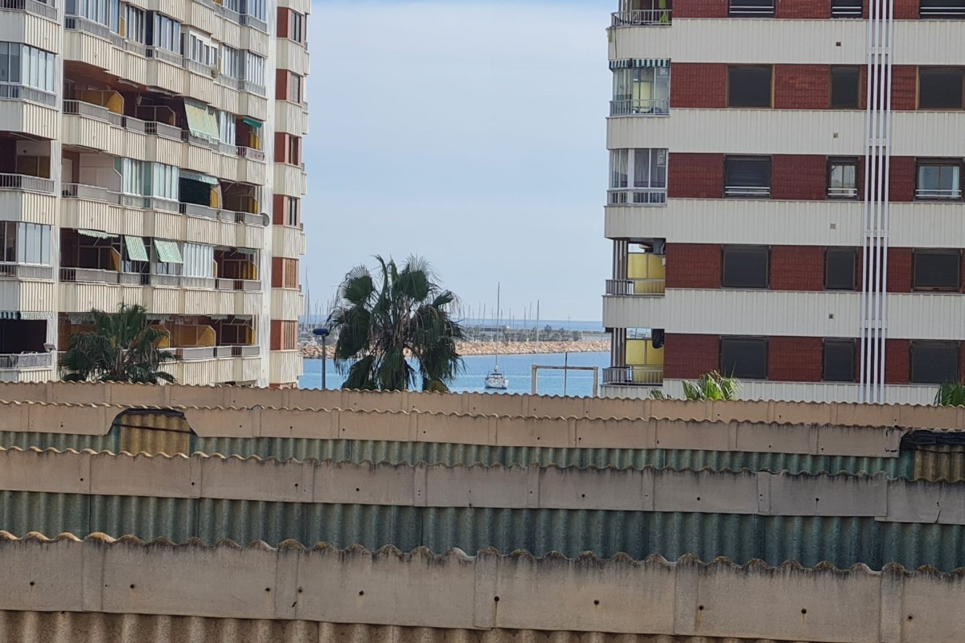 Használt Ingatlanok - Apartman -
Torrevieja - Costa Blanca