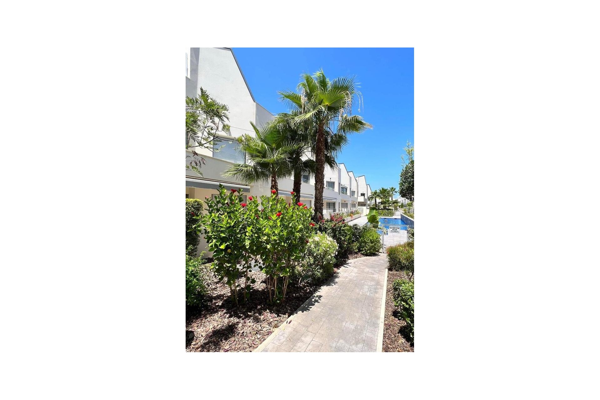Használt Ingatlanok - Apartman -
Torrevieja - Costa Blanca