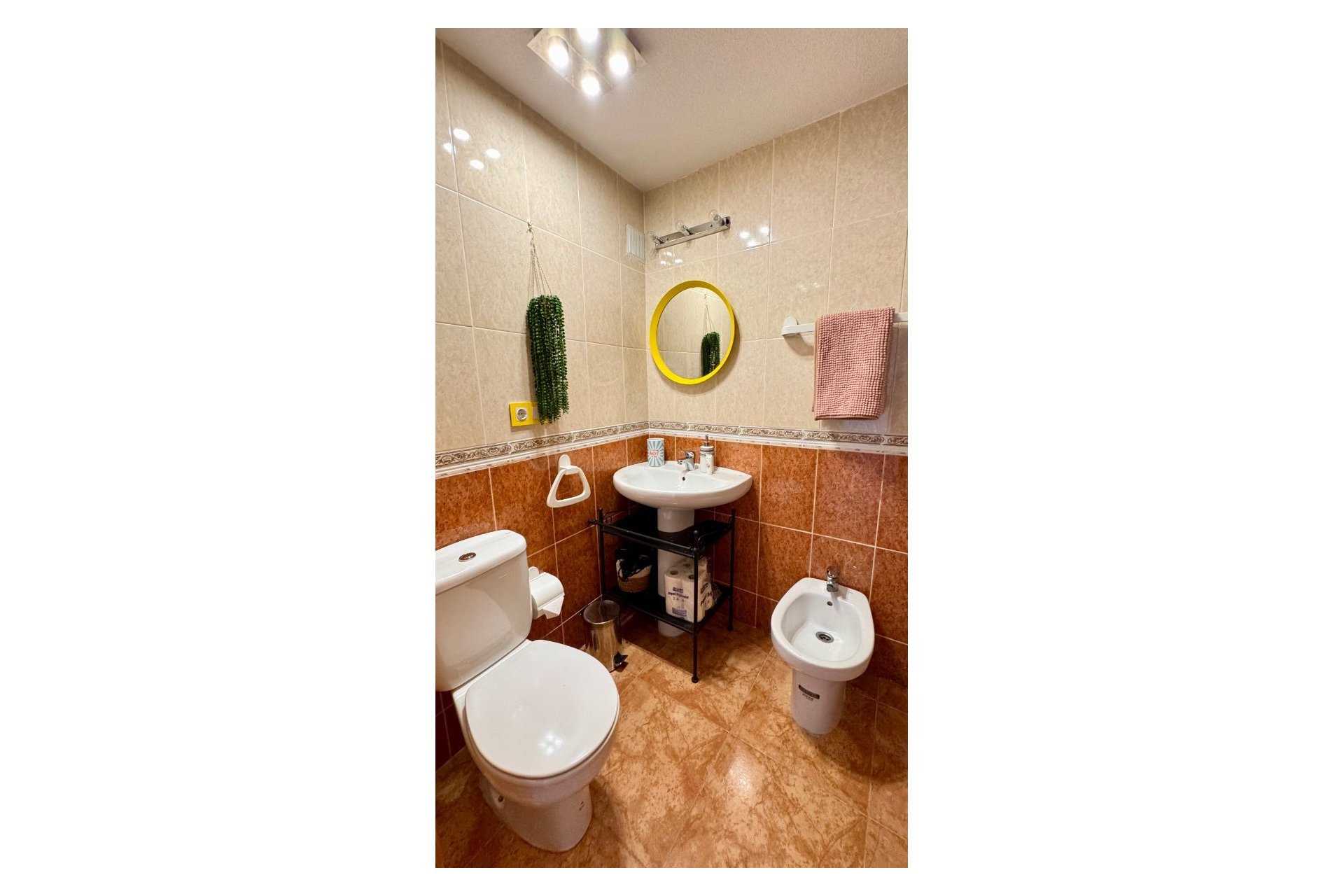 Használt Ingatlanok - Apartman -
Torrevieja - Costa Blanca