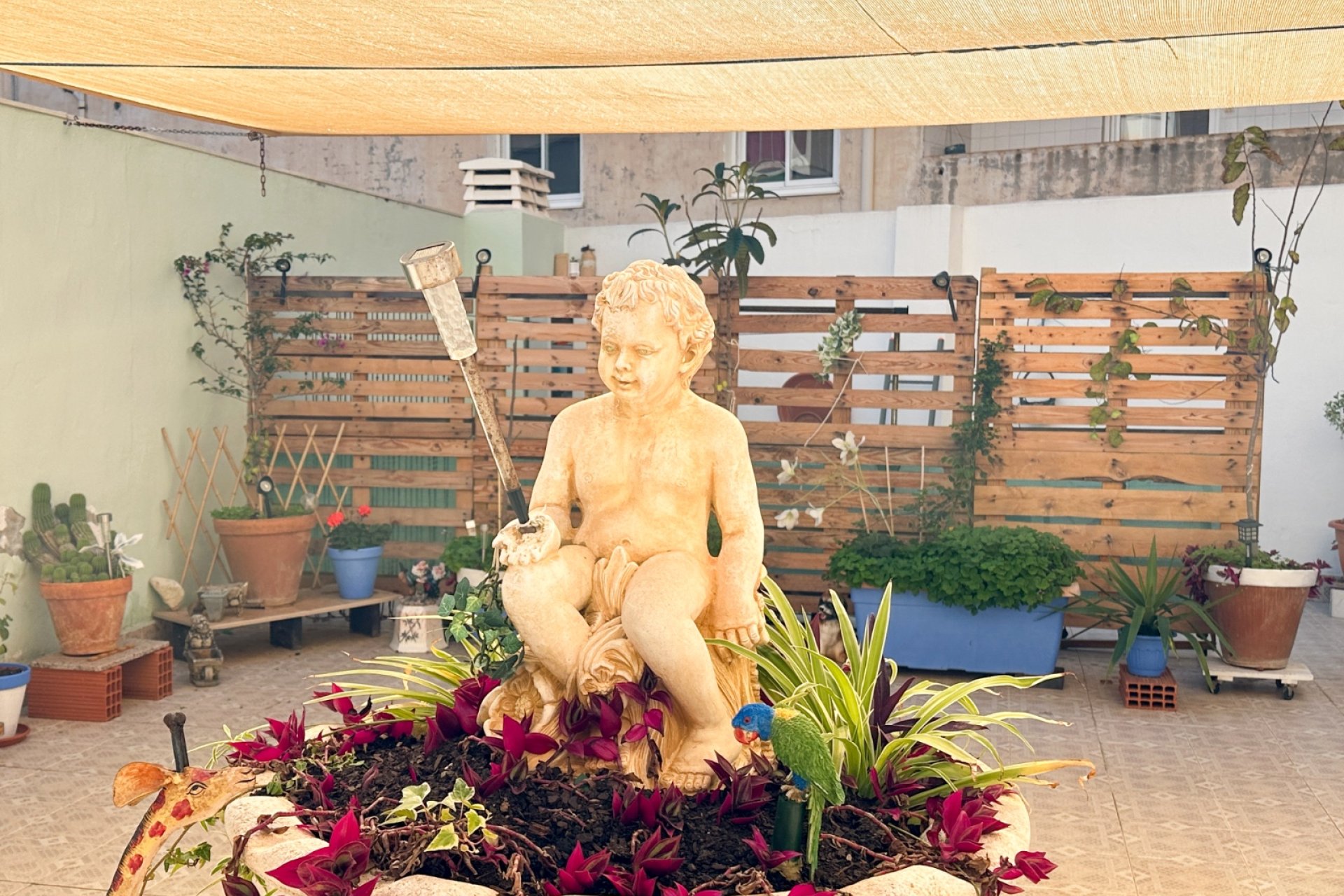 Használt Ingatlanok - Apartman -
Torrevieja - Costa Blanca