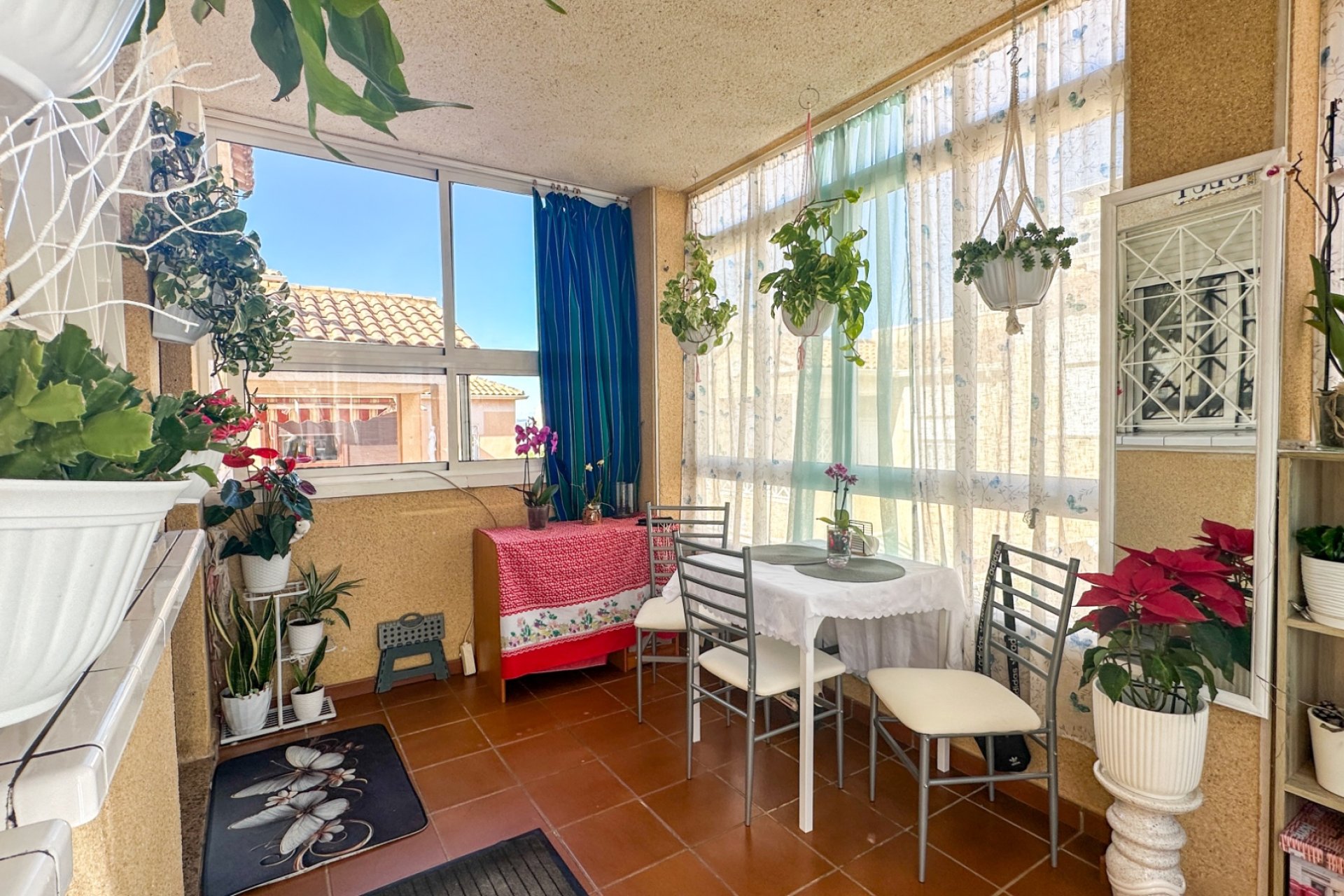 Használt Ingatlanok - Apartman -
Torrevieja - Costa Blanca