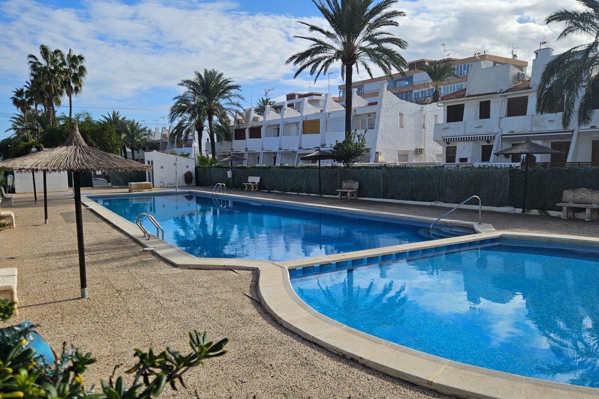 Használt Ingatlanok - Apartman -
Torrevieja - Costa Blanca