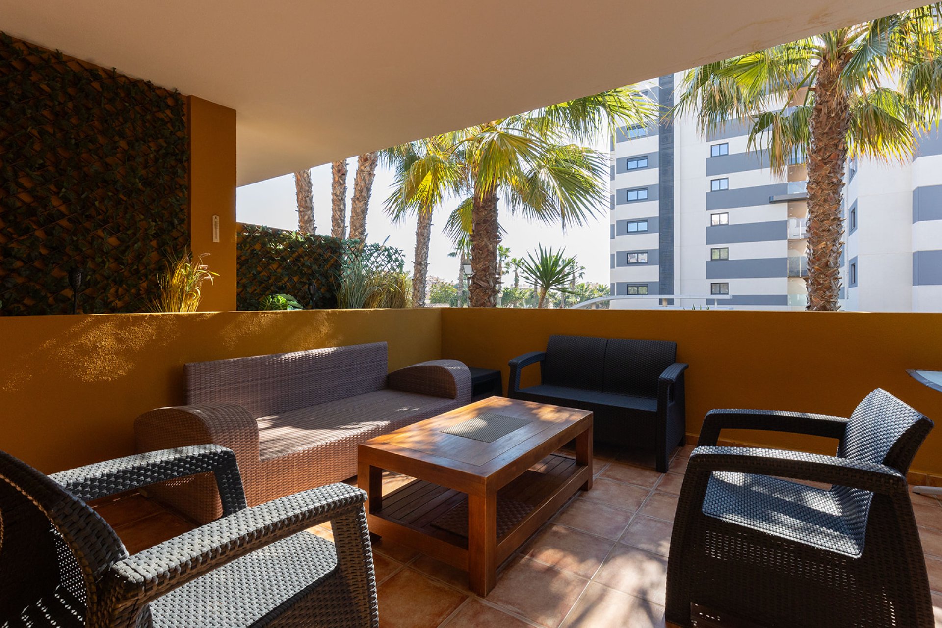 Használt Ingatlanok - Apartman -
Torrevieja - Costa Blanca